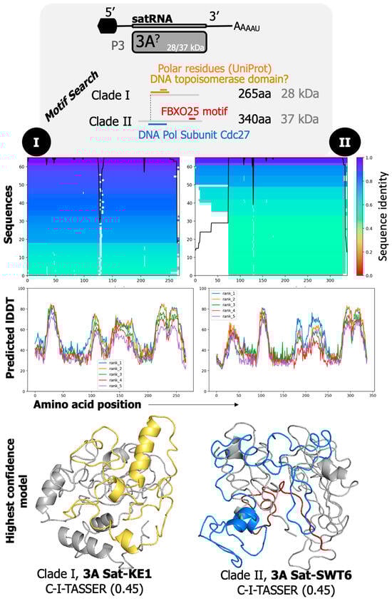 Biomolecules 14 00062 g008