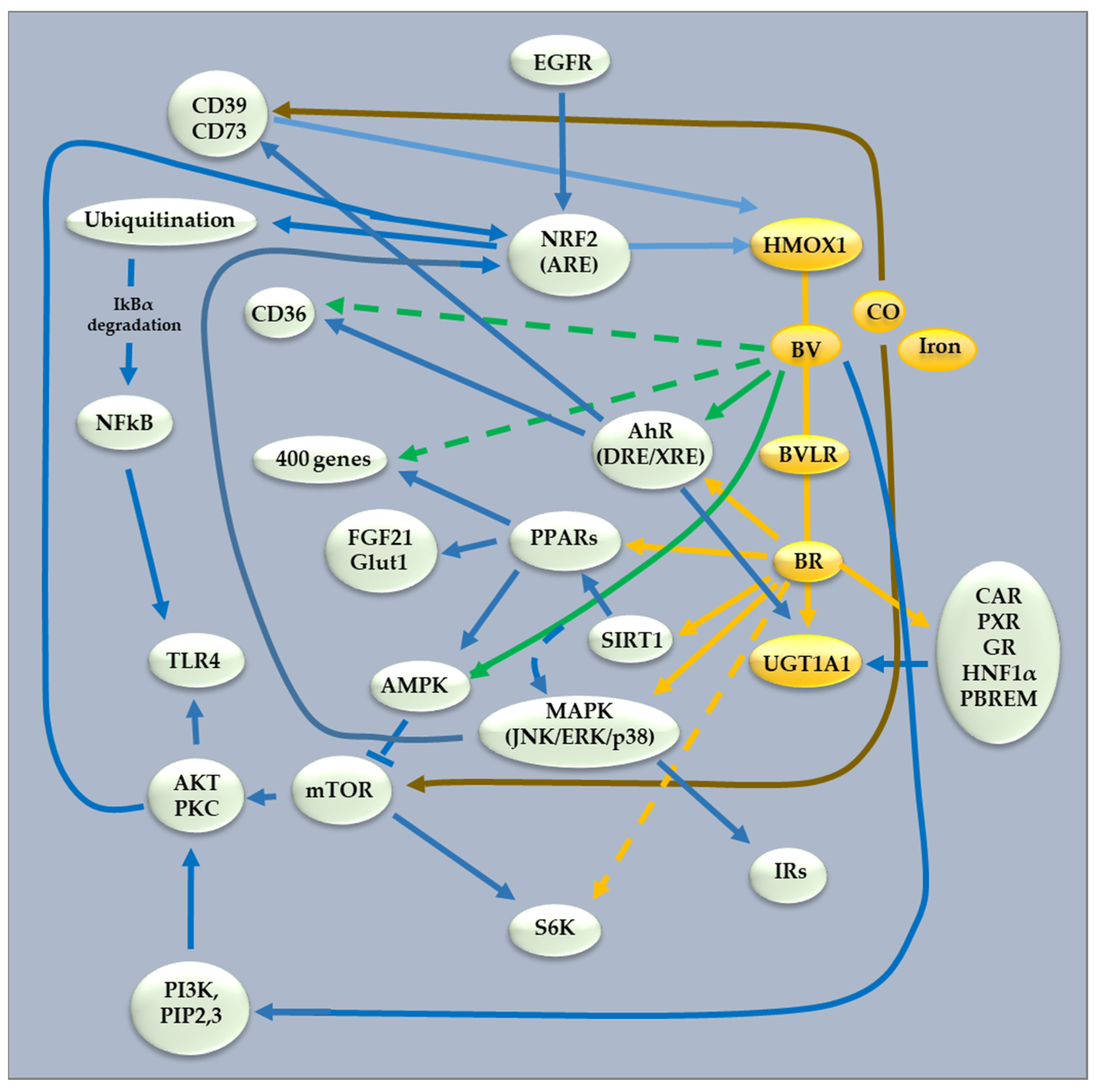 Biomolecules 14 00063 g002 Biomolecules 14 00063 g002