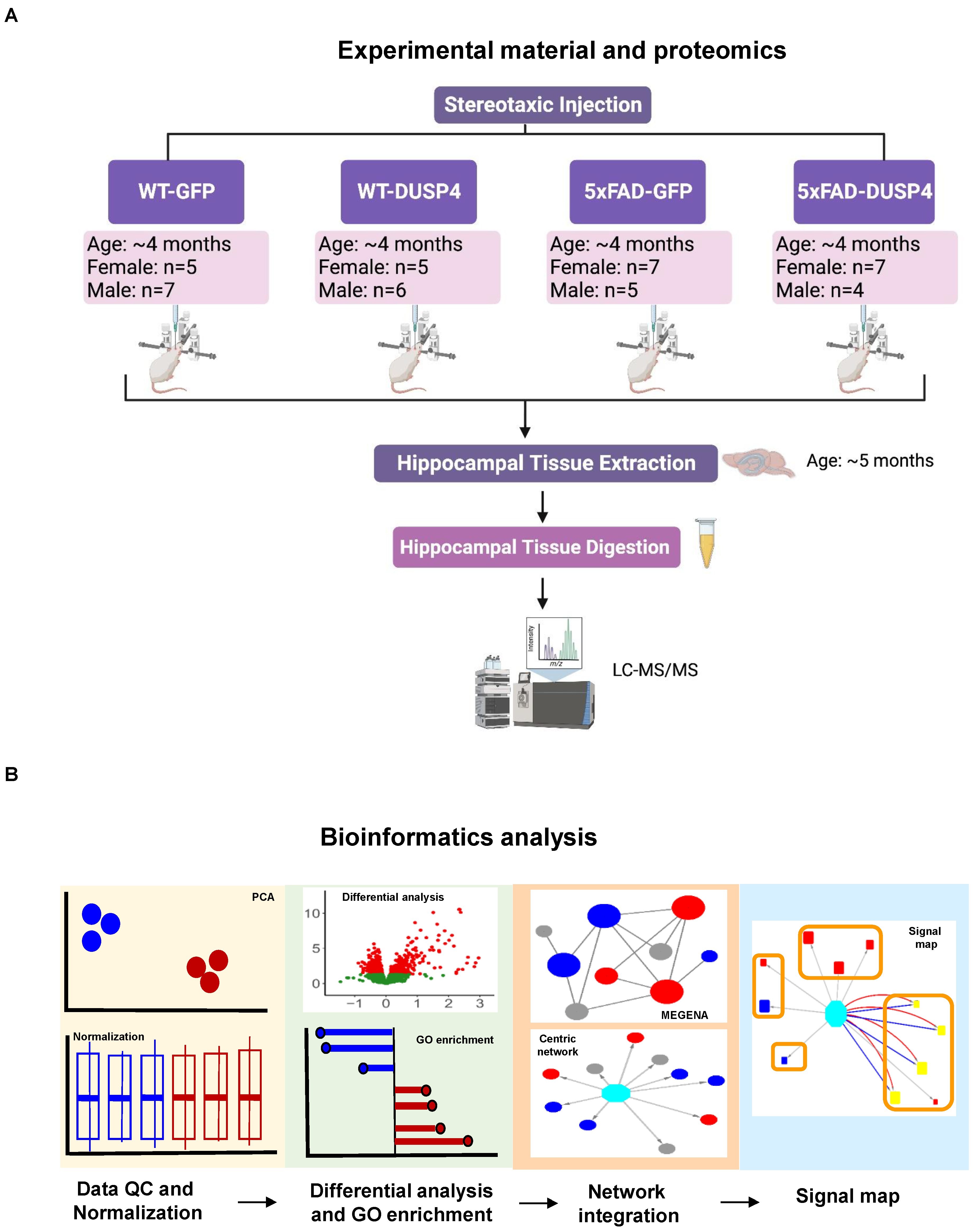 Biomolecules 14 00066 g001