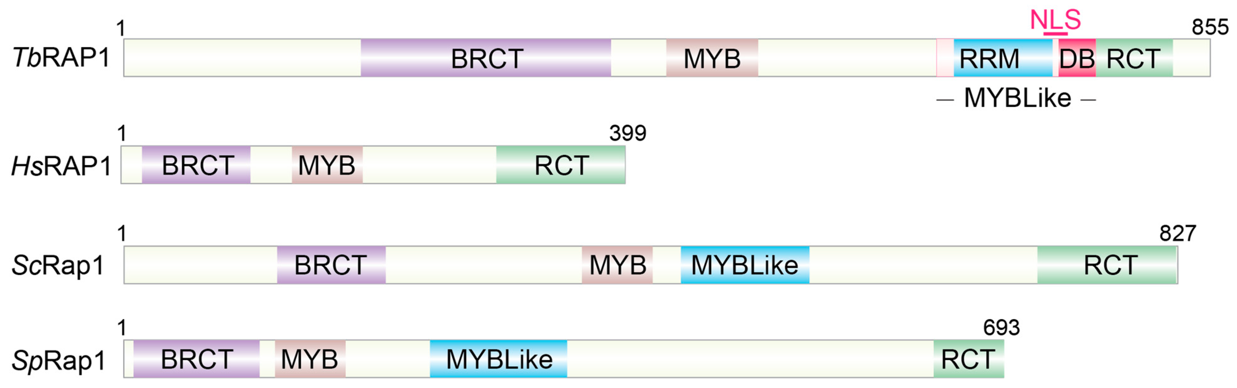 Biomolecules 14 00067 g001