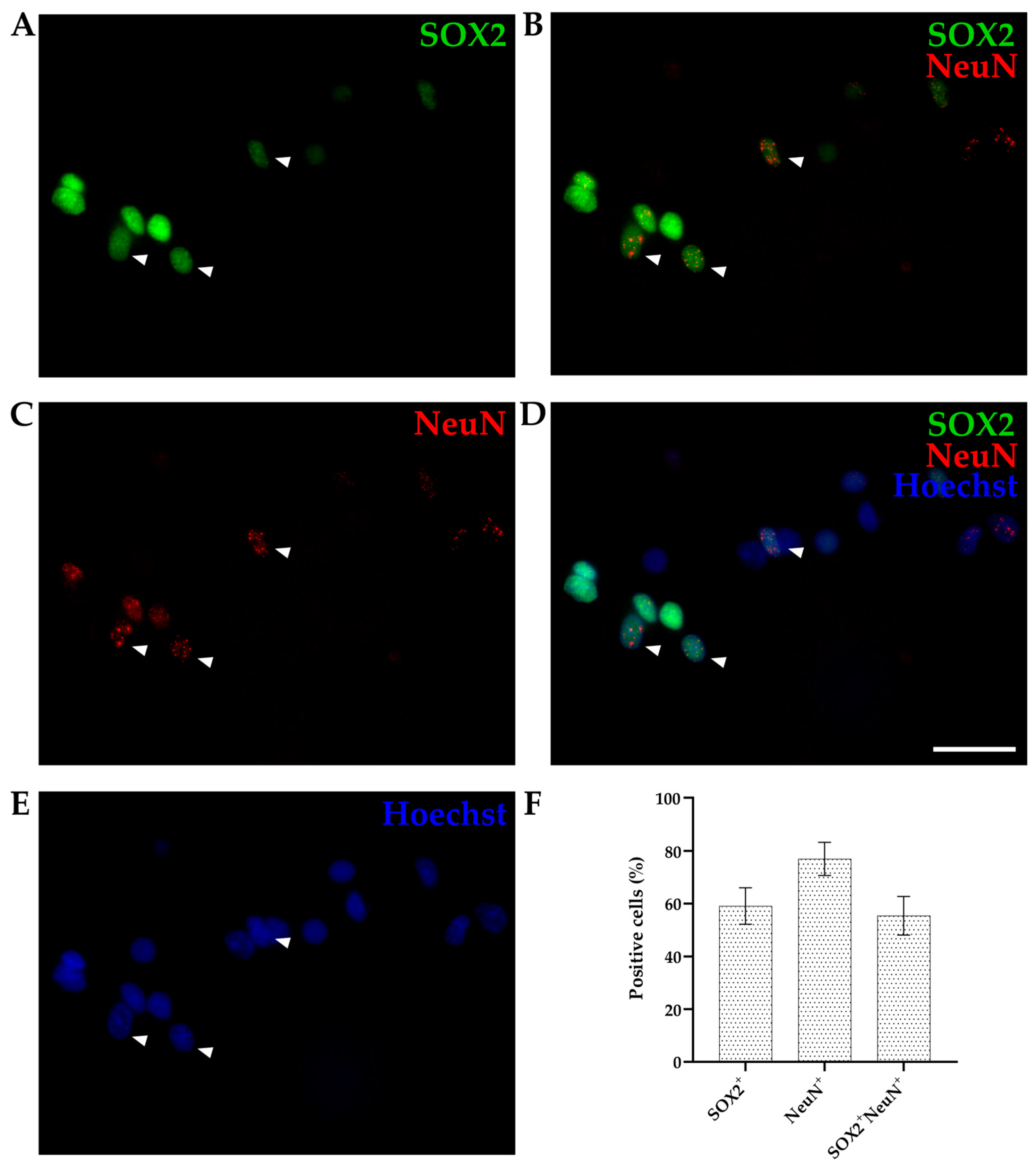 Biomolecules 14 00070 g004 Biomolecules 14 00070 g004