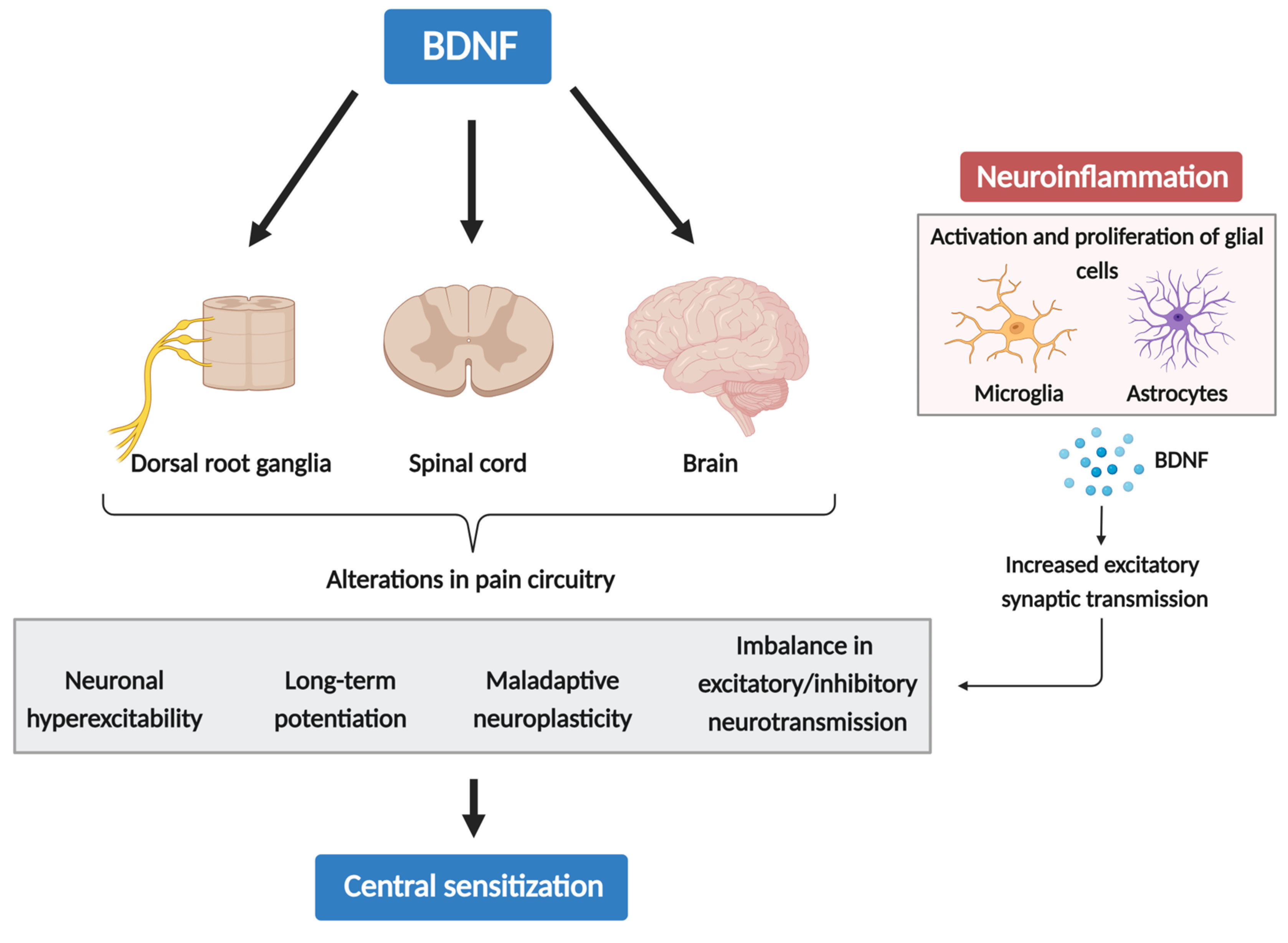 Biomolecules 14 00071 g001