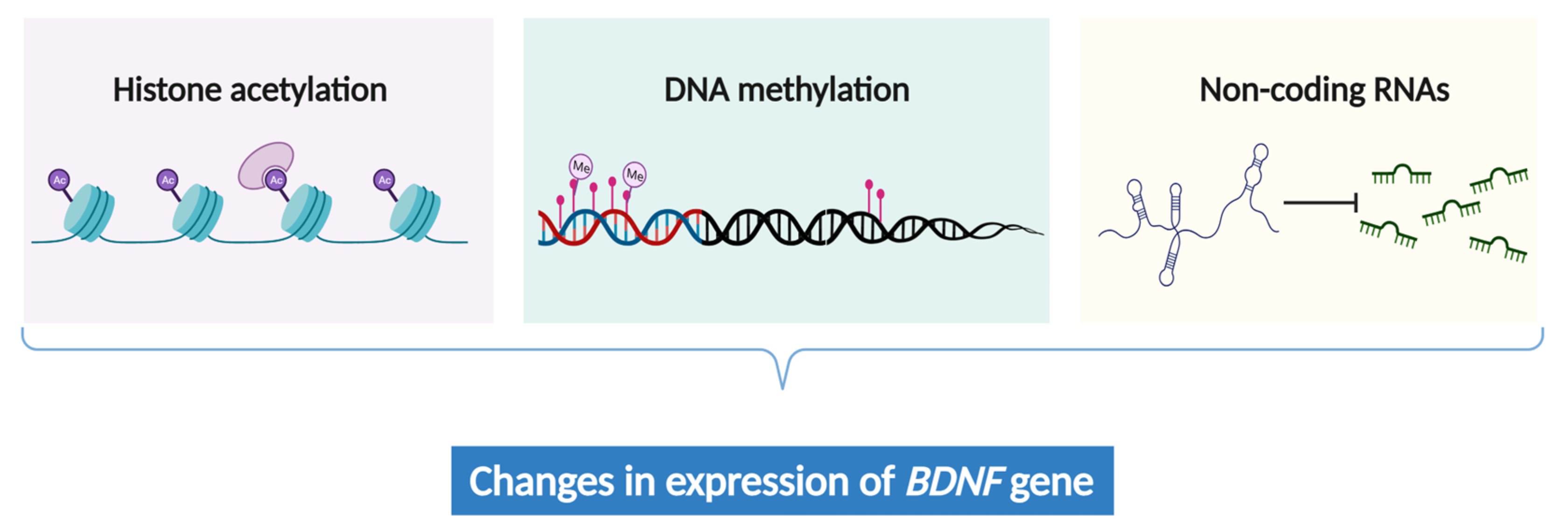 Biomolecules 14 00071 g002