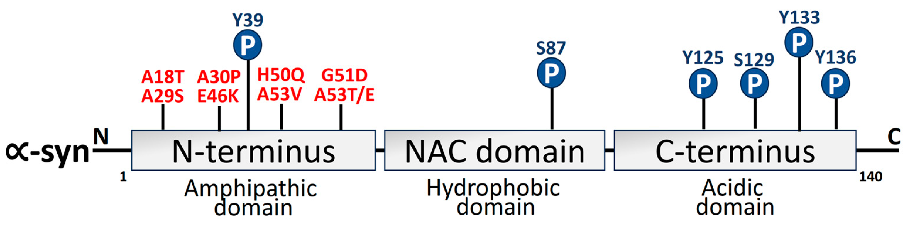 Biomolecules 14 00073 g003 Biomolecules 14 00073 g003