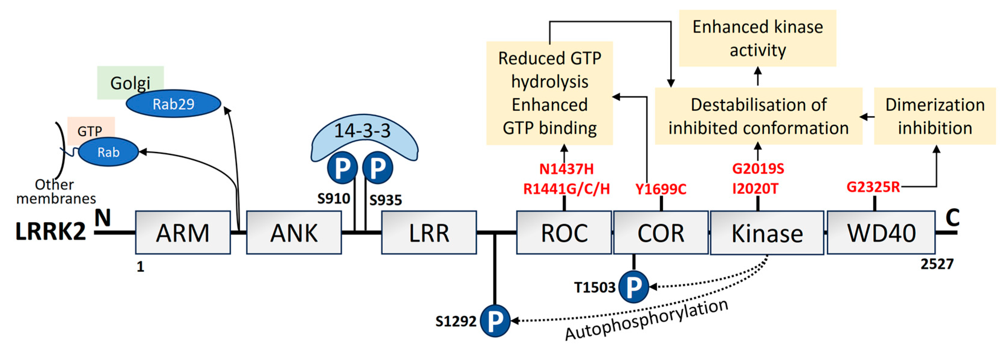 Biomolecules 14 00073 g004 Biomolecules 14 00073 g004