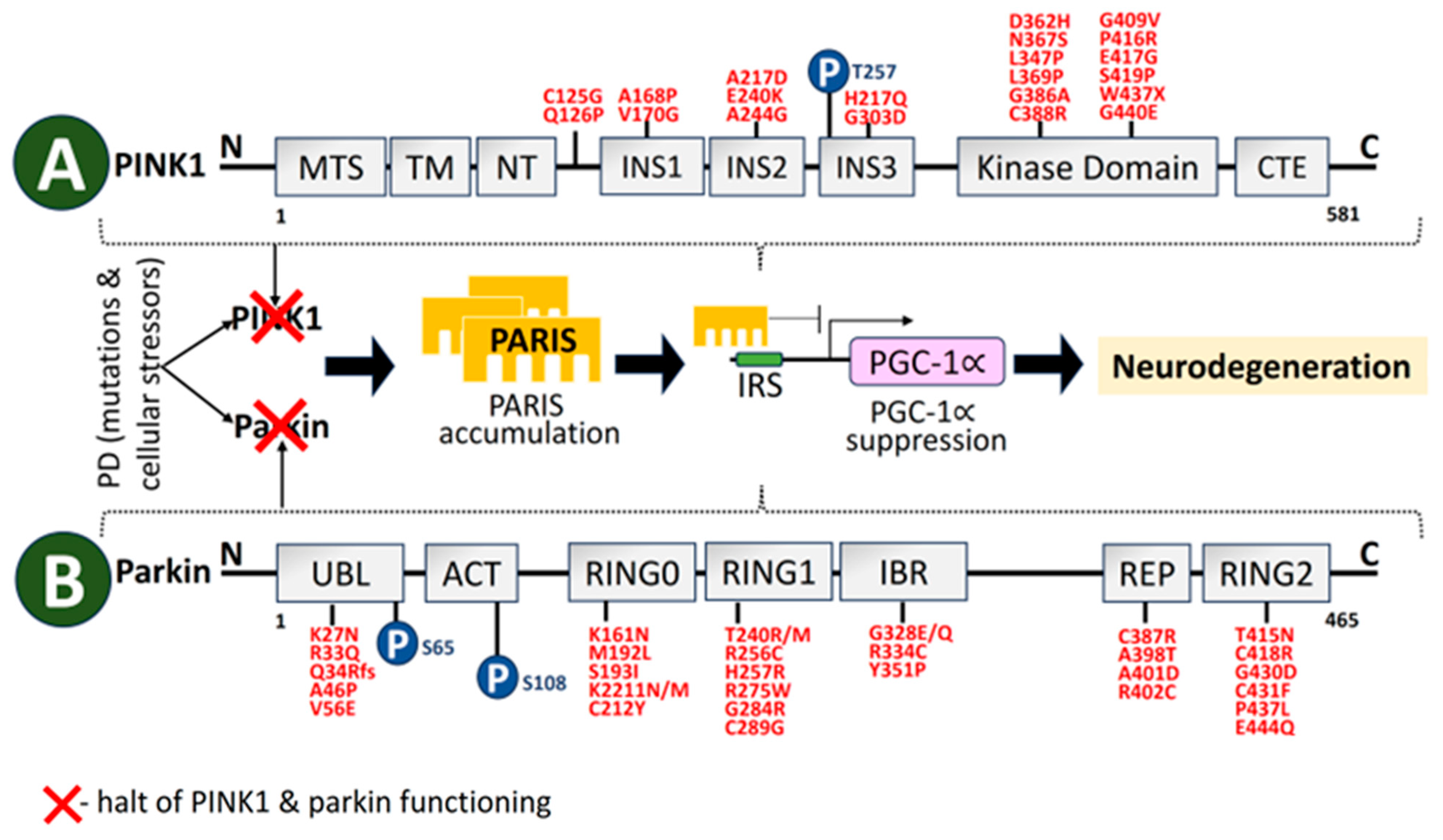 Biomolecules 14 00073 g005 Biomolecules 14 00073 g005