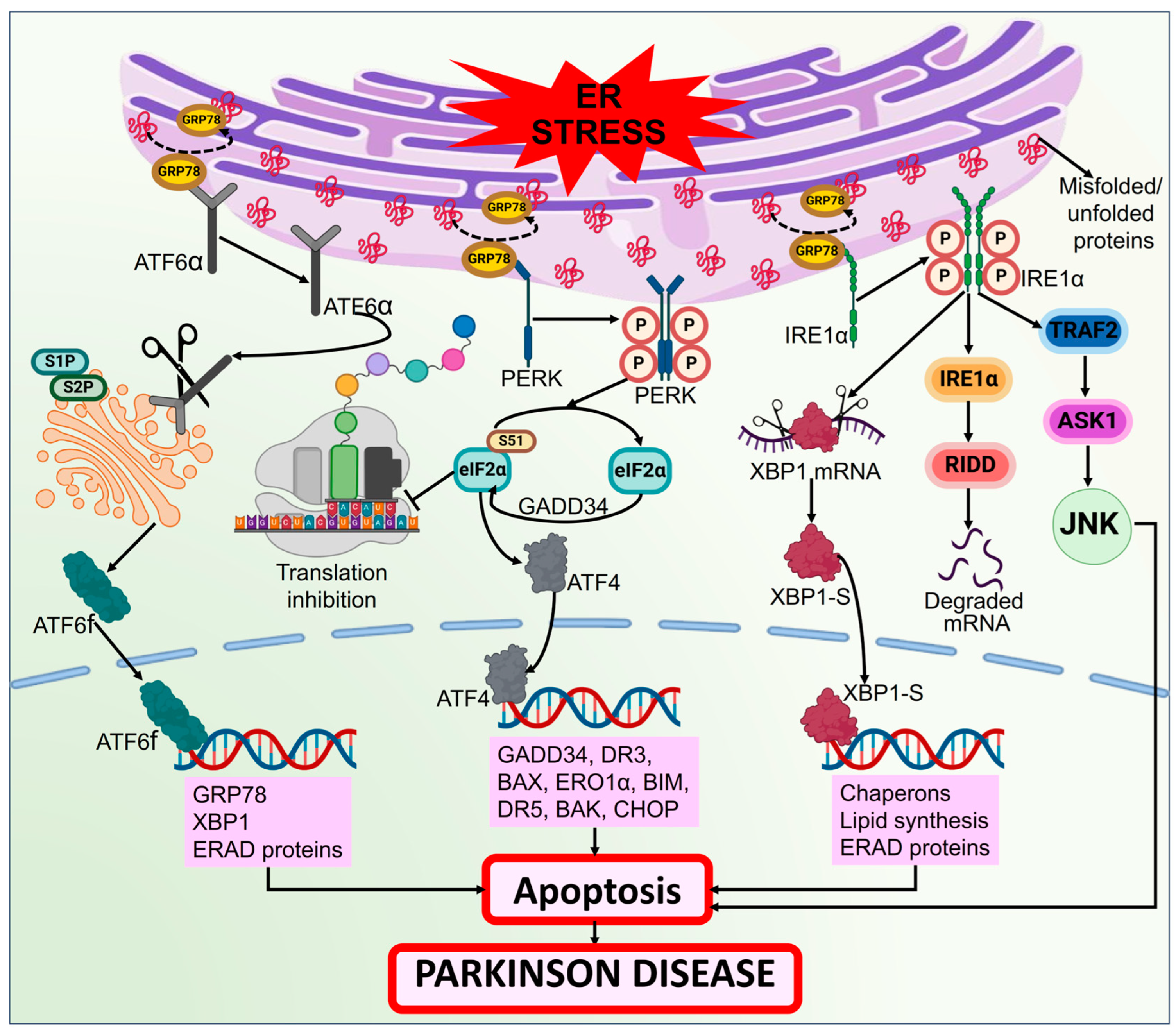 Biomolecules 14 00073 g010 Biomolecules 14 00073 g010