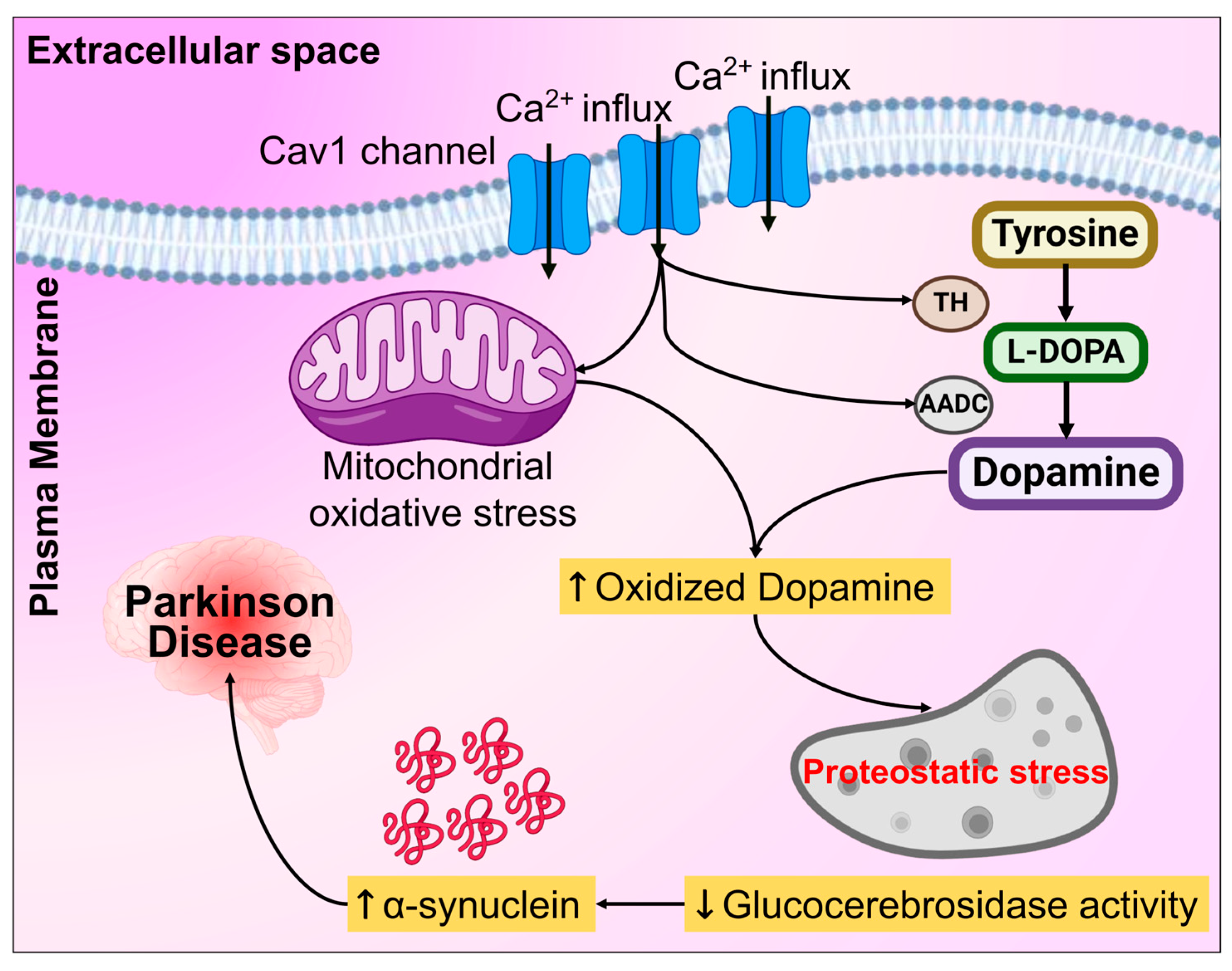 Biomolecules 14 00073 g011 Biomolecules 14 00073 g011