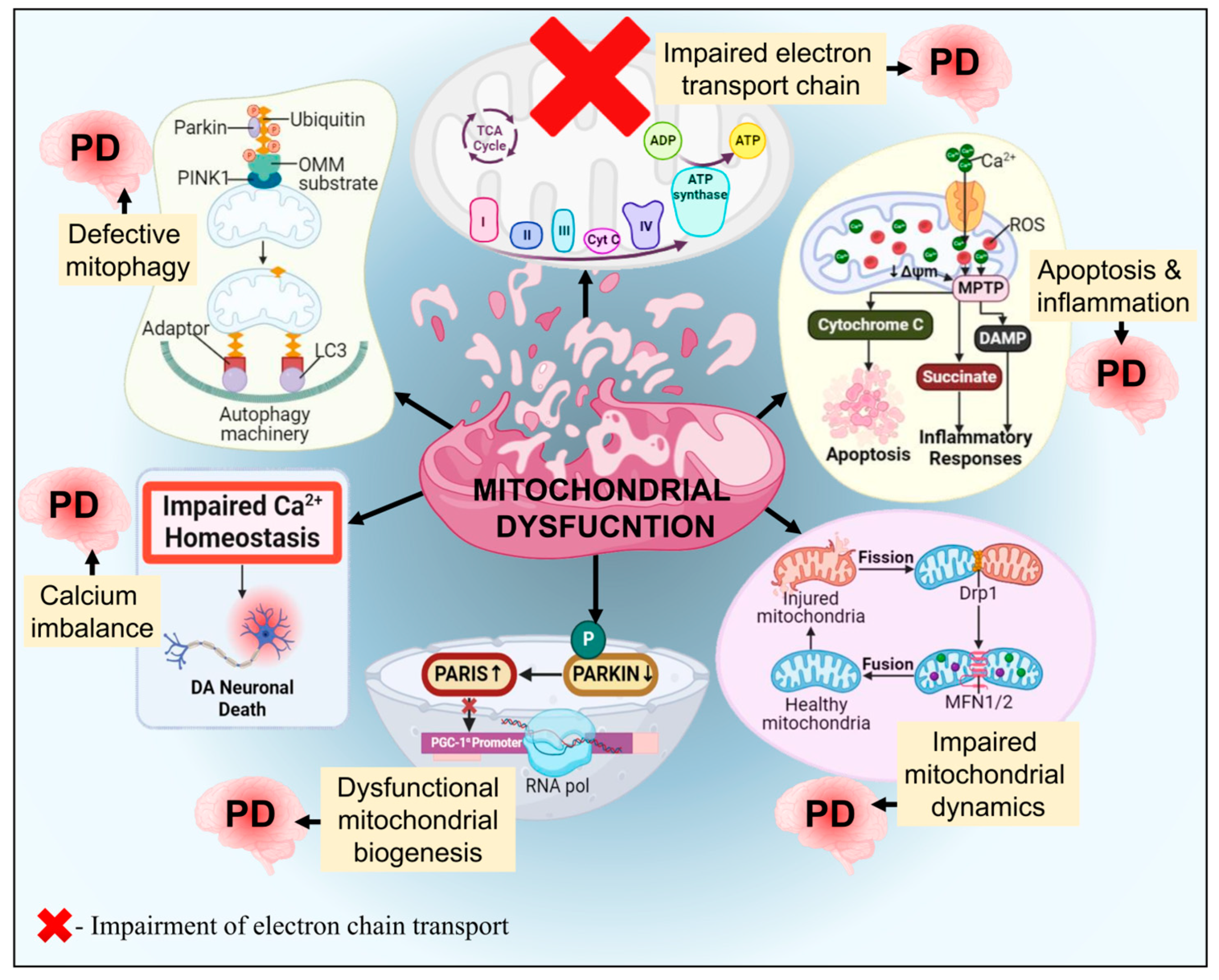 Biomolecules 14 00073 g012 Biomolecules 14 00073 g012