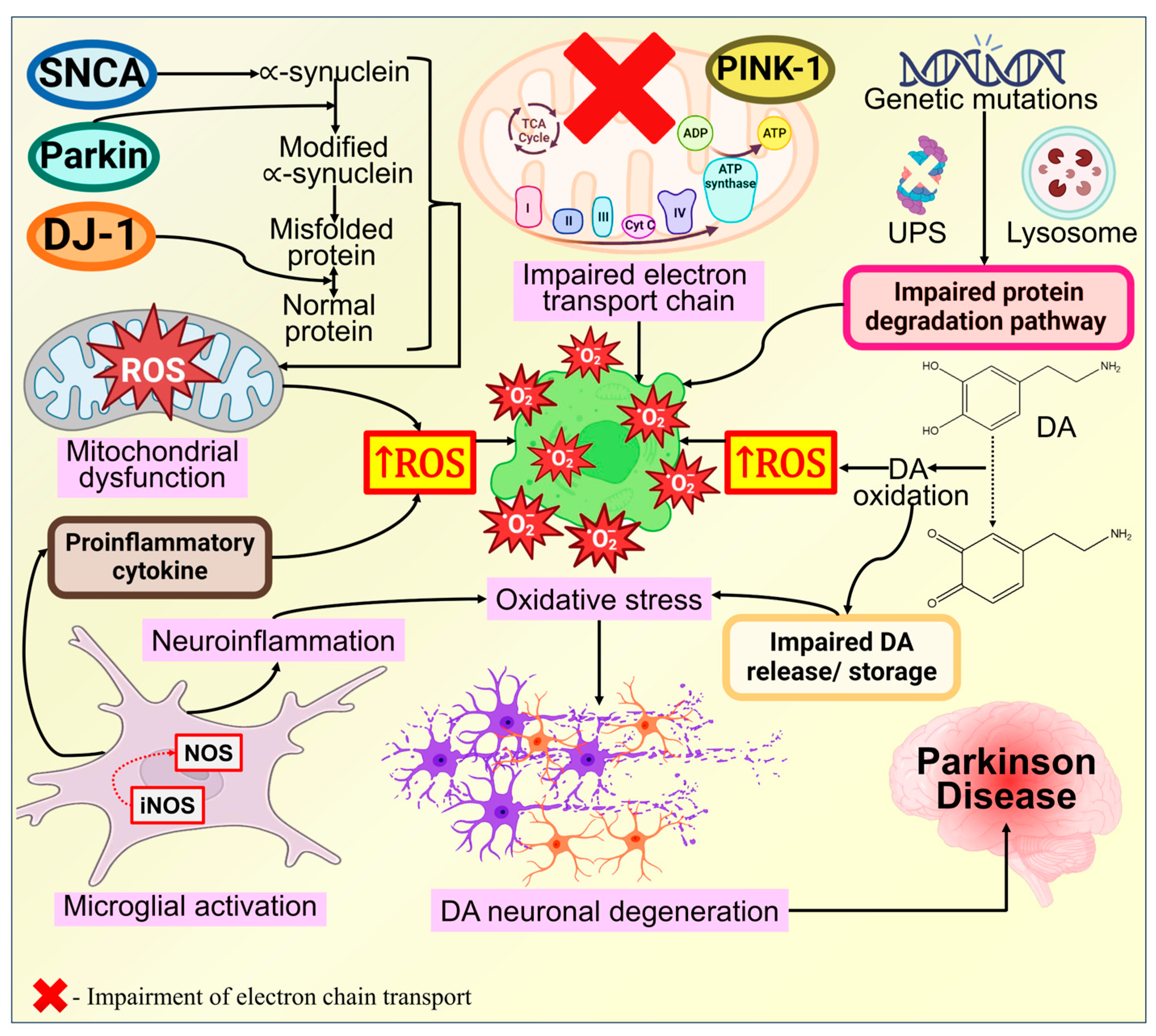 Biomolecules 14 00073 g013 Biomolecules 14 00073 g013