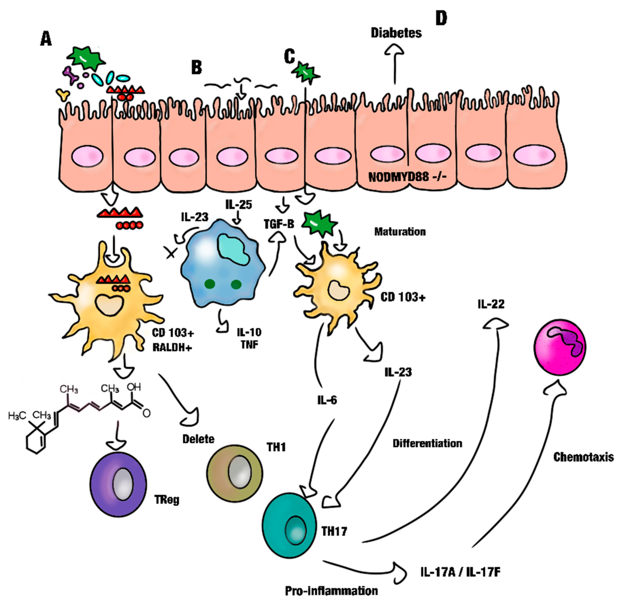 Biomolecules 14 00078 g003
