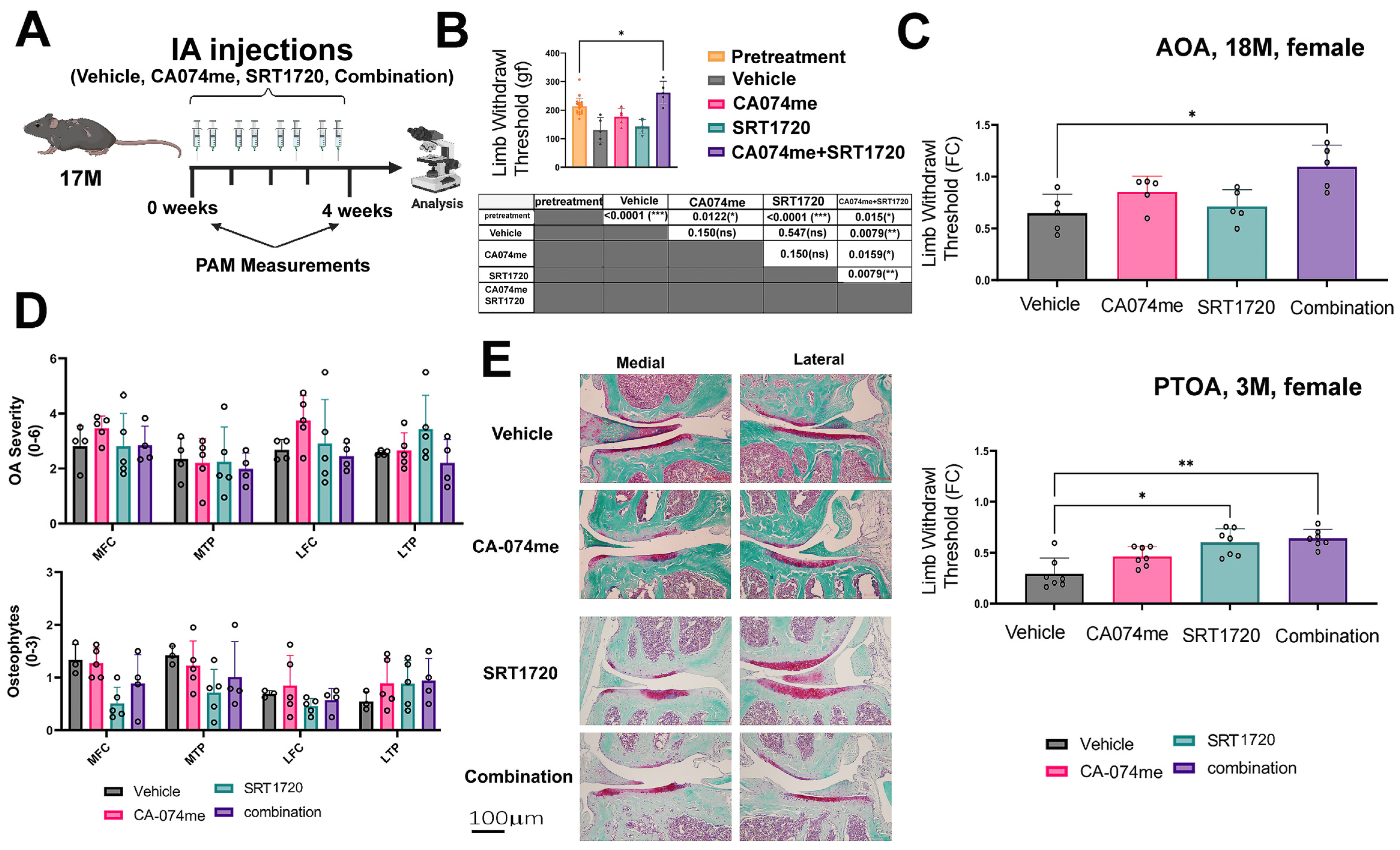 Biomolecules 14 00081 g002
