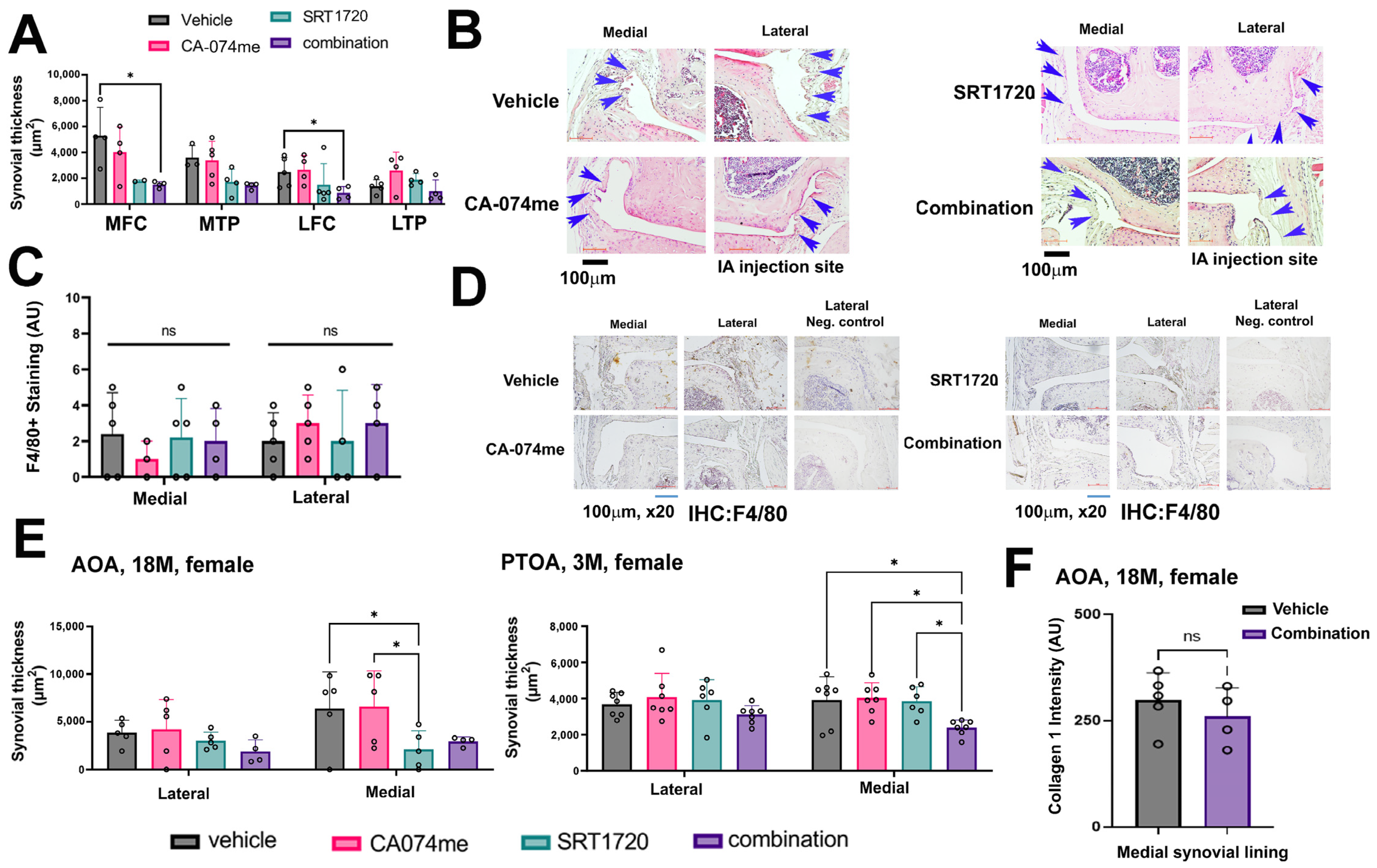 Biomolecules 14 00081 g003