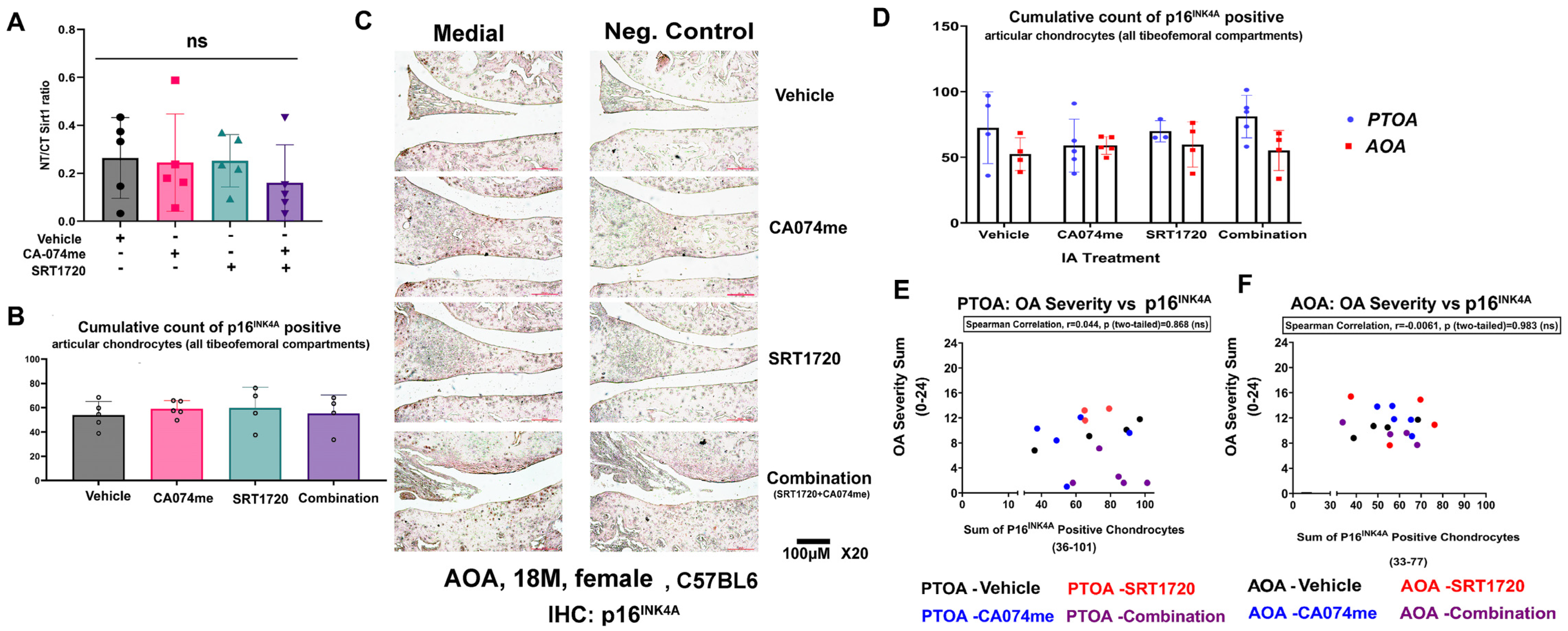 Biomolecules 14 00081 g005