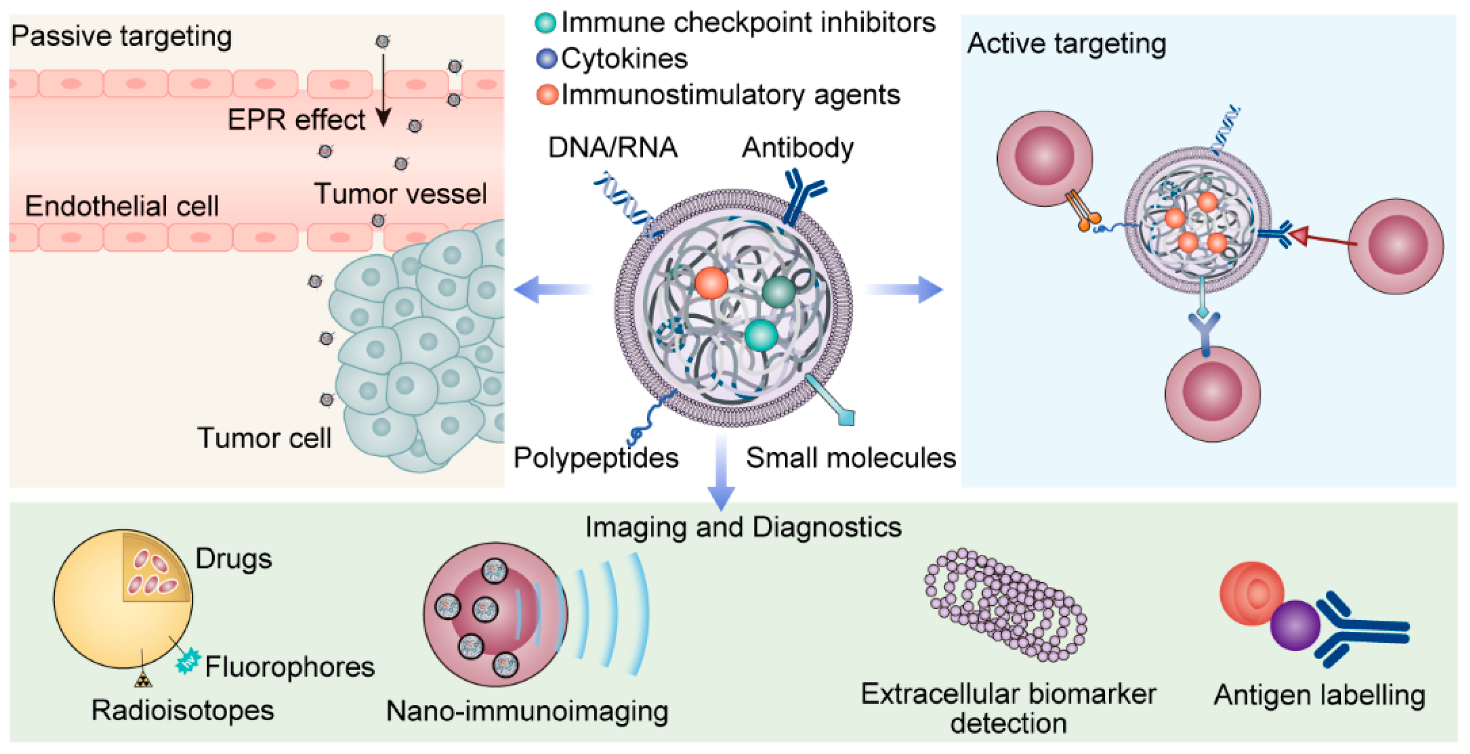 Biomolecules 14 00083 g002