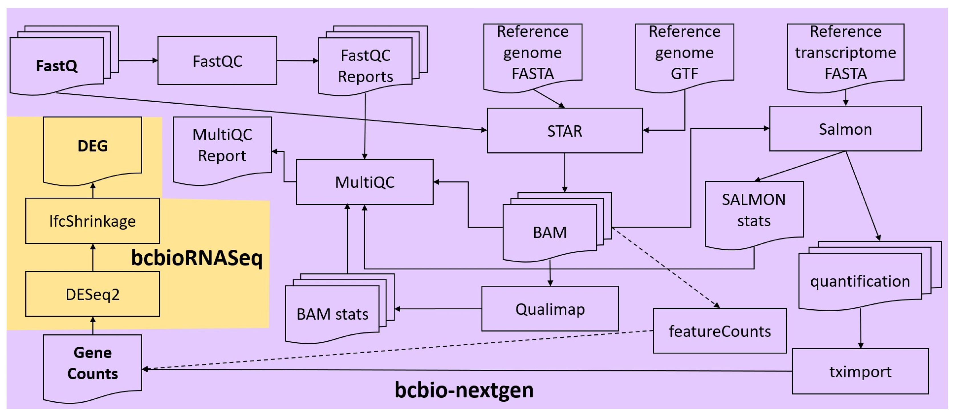 Biomolecules 14 00088 g001 Biomolecules 14 00088 g001