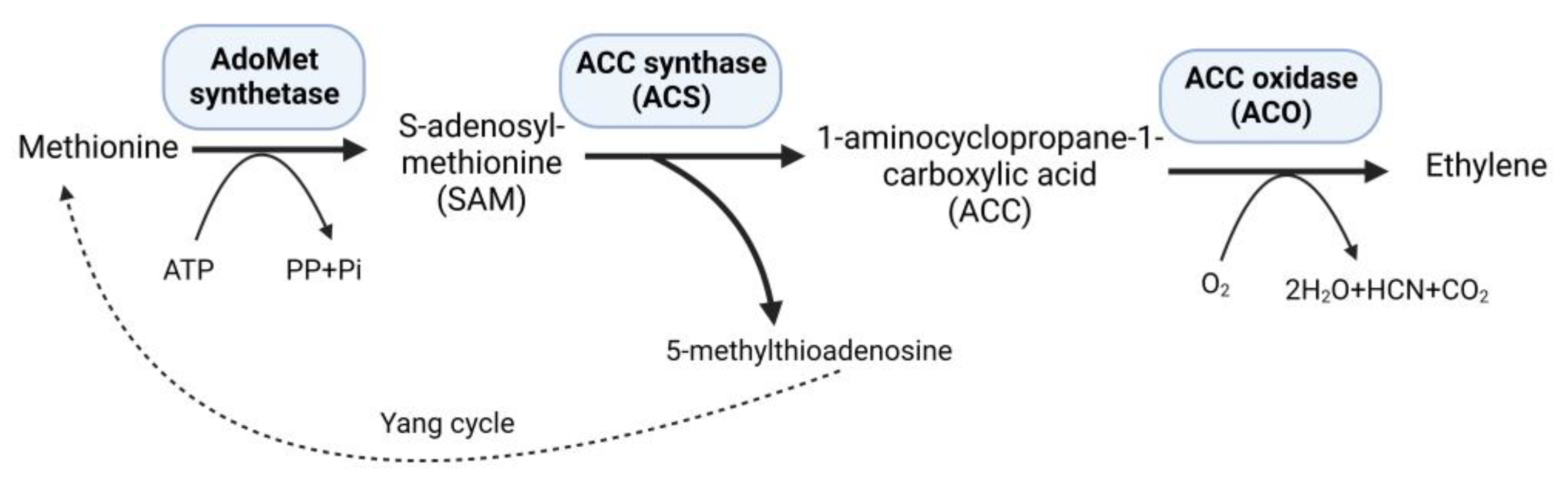 Biomolecules 14 00090 g001 Biomolecules 14 00090 g001