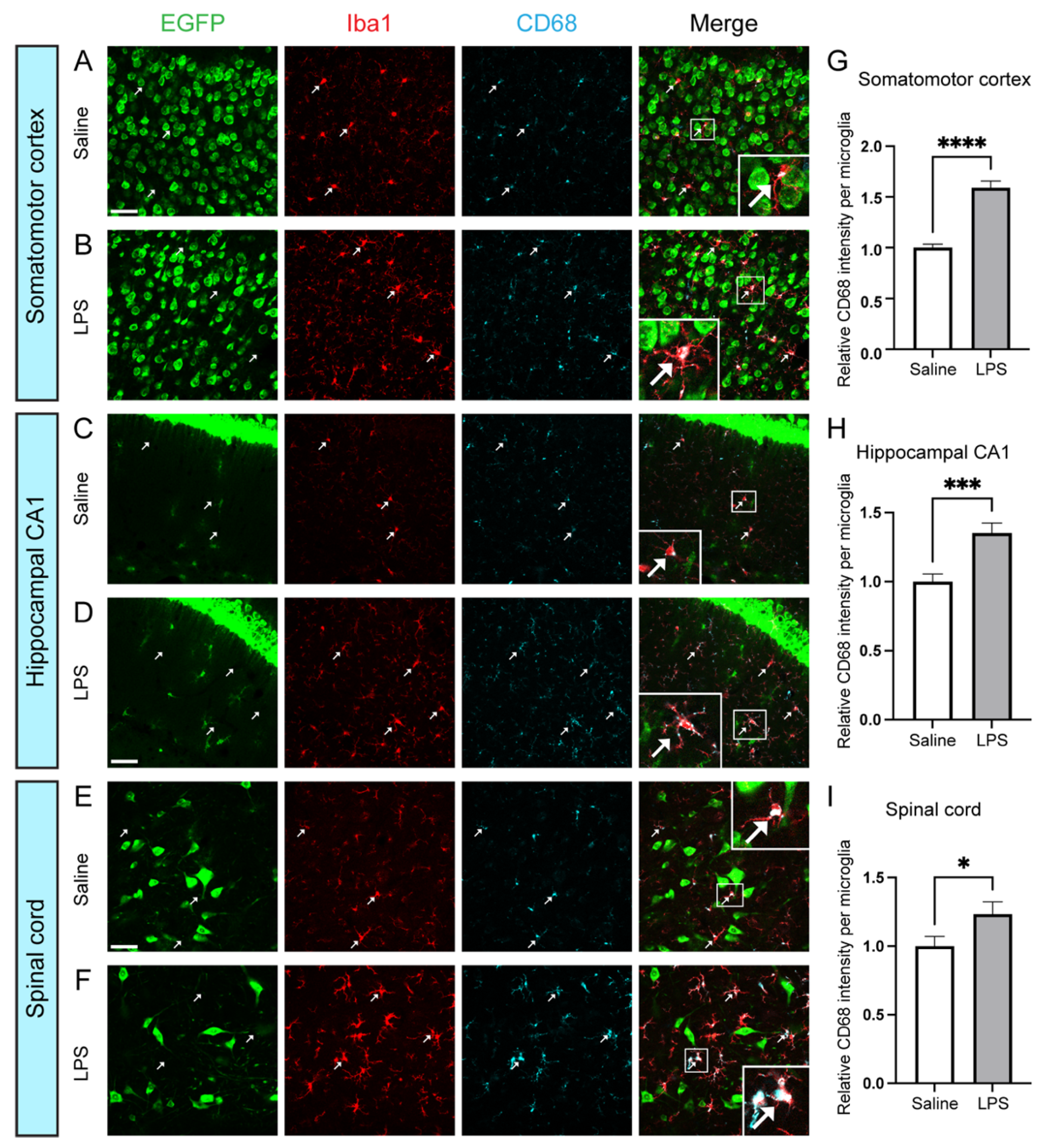 Biomolecules 14 00091 g002 Biomolecules 14 00091 g002