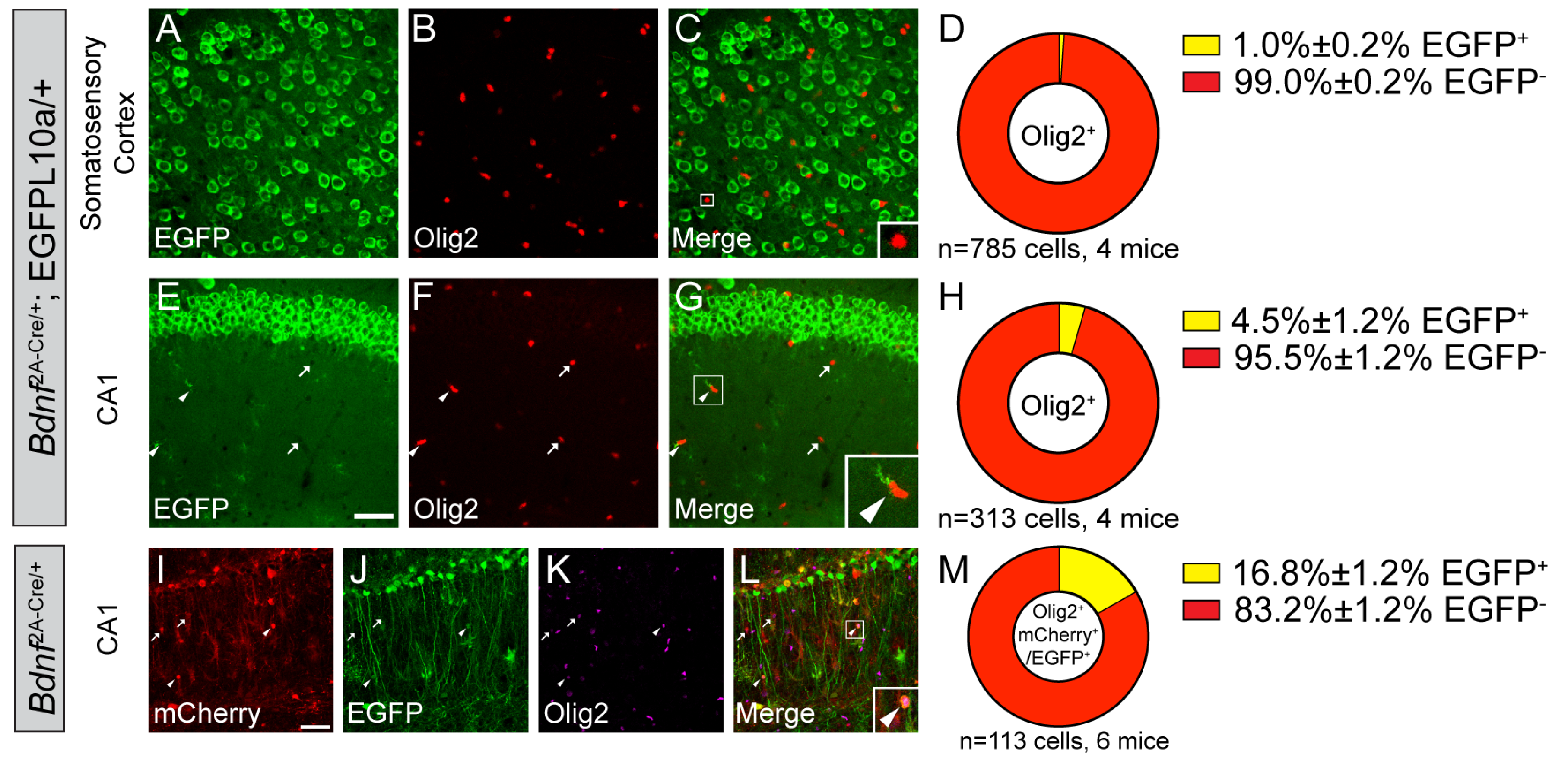 Biomolecules 14 00091 g004 Biomolecules 14 00091 g004