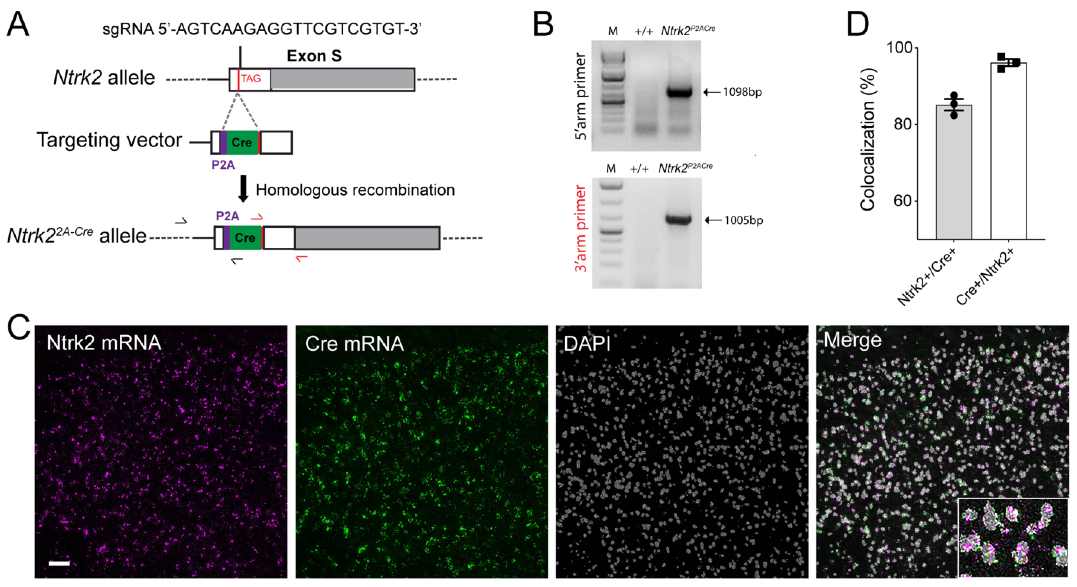 Biomolecules 14 00091 g005 Biomolecules 14 00091 g005