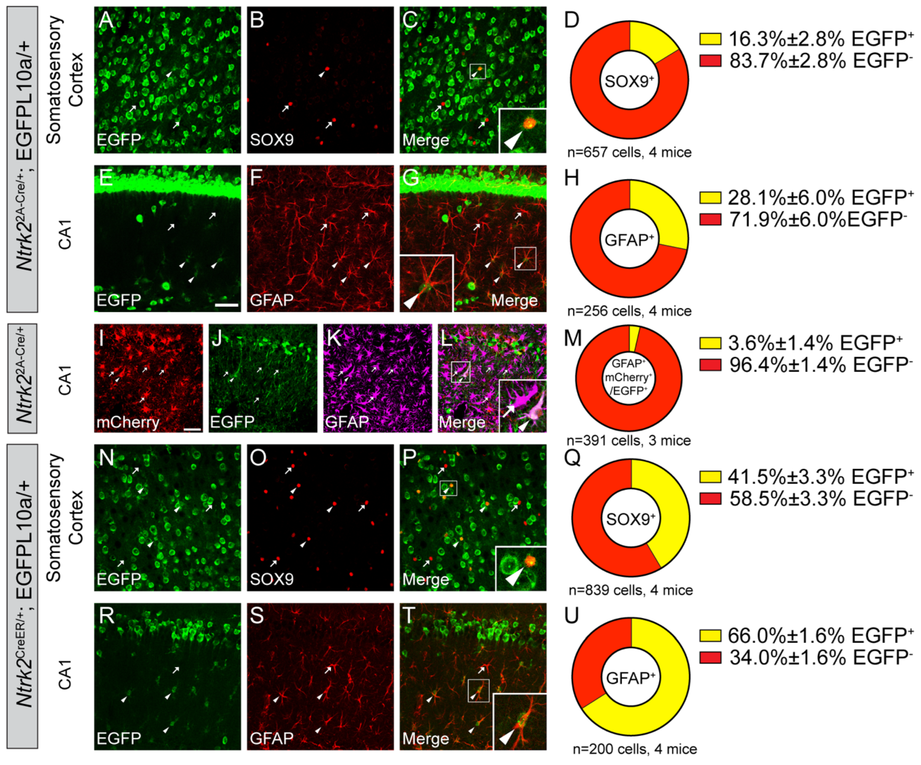 Biomolecules 14 00091 g008 Biomolecules 14 00091 g008