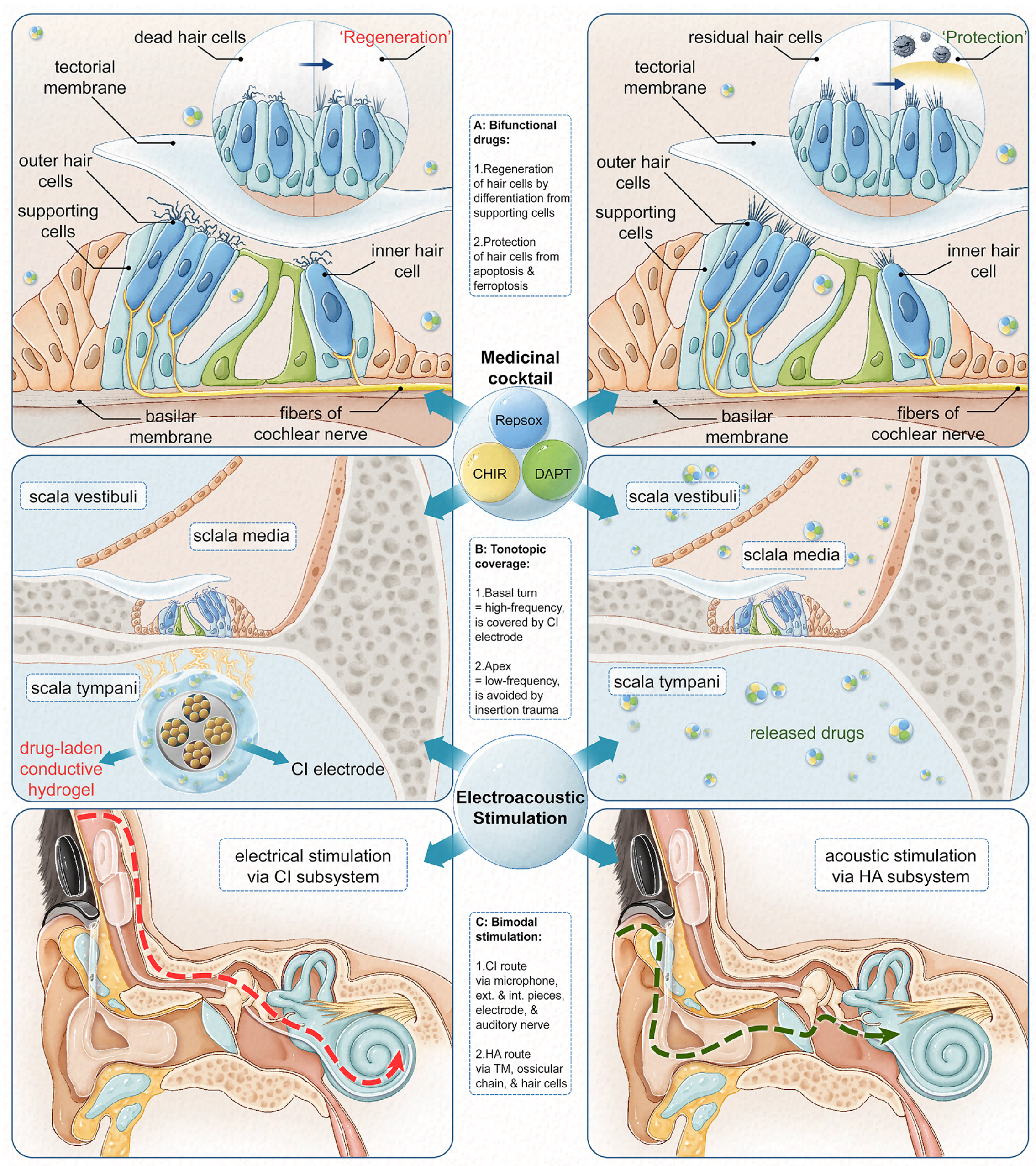 Biomolecules 14 00095 g001 Biomolecules 14 00095 g001