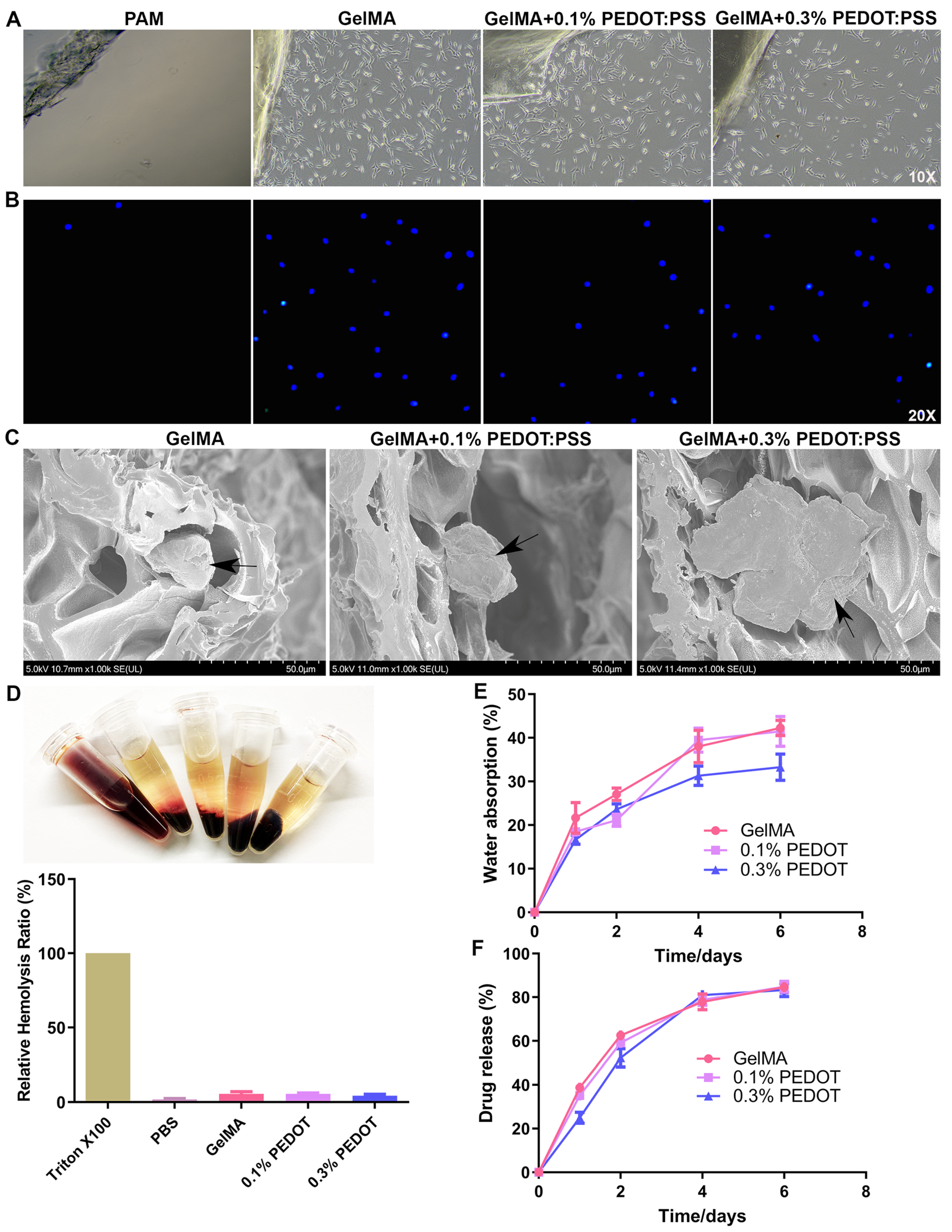 Biomolecules 14 00095 g004 Biomolecules 14 00095 g004
