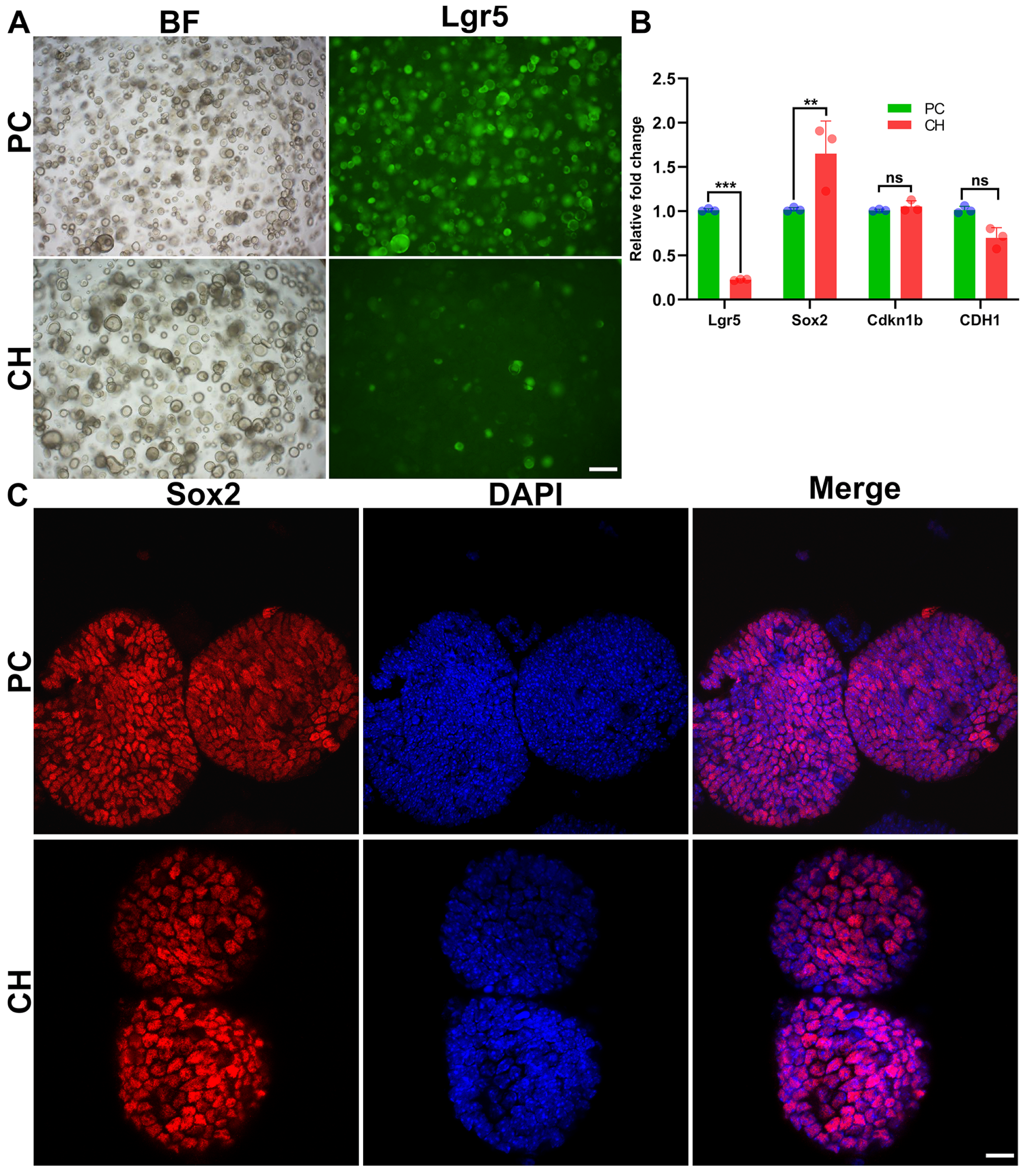 Biomolecules 14 00095 g006 Biomolecules 14 00095 g006