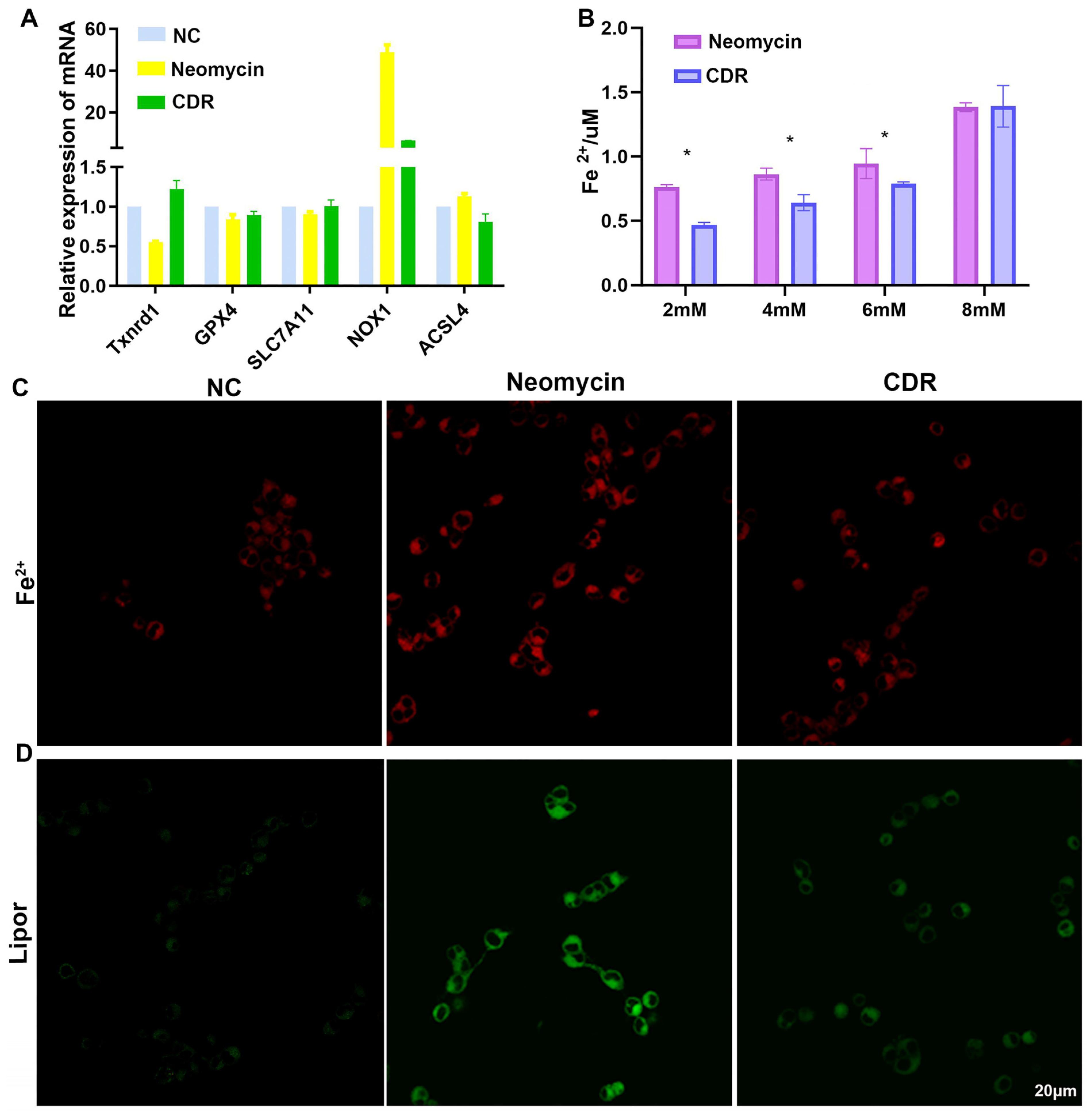 Biomolecules 14 00095 g009 Biomolecules 14 00095 g009