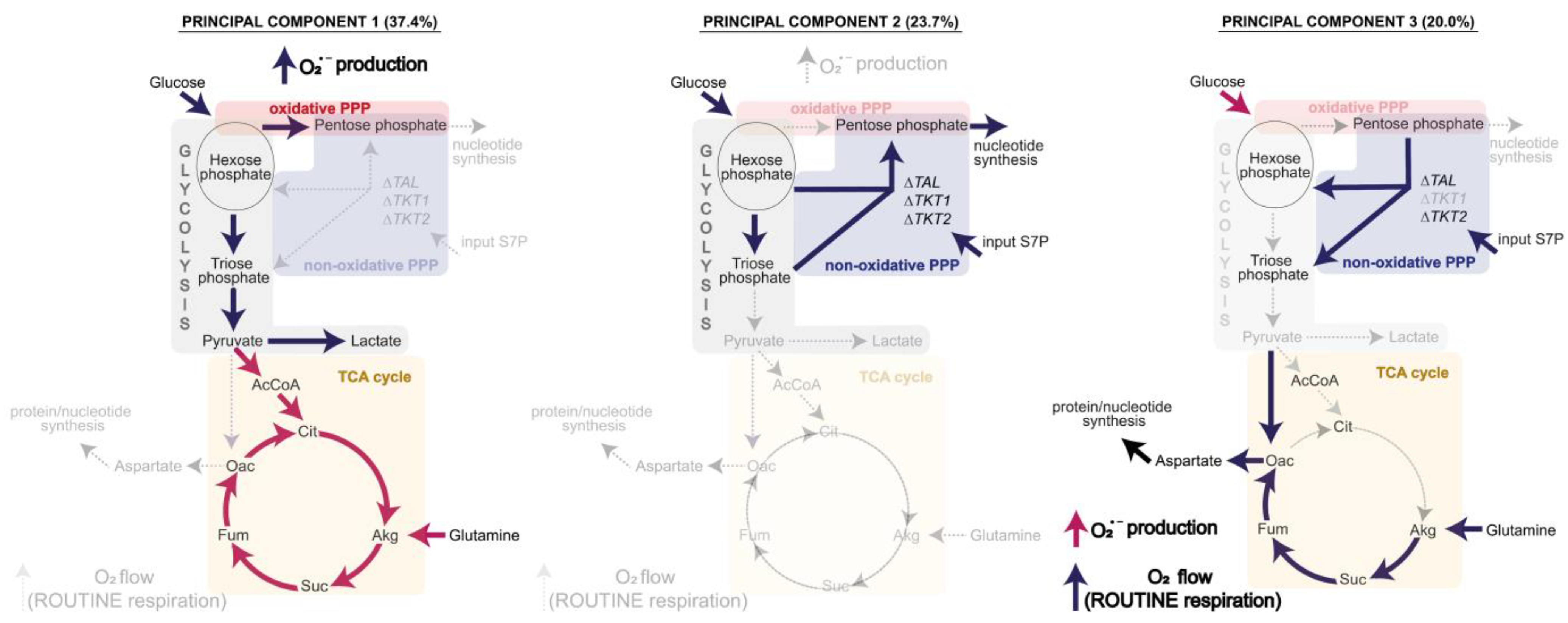 Biomolecules 14 00098 g006 Biomolecules 14 00098 g006