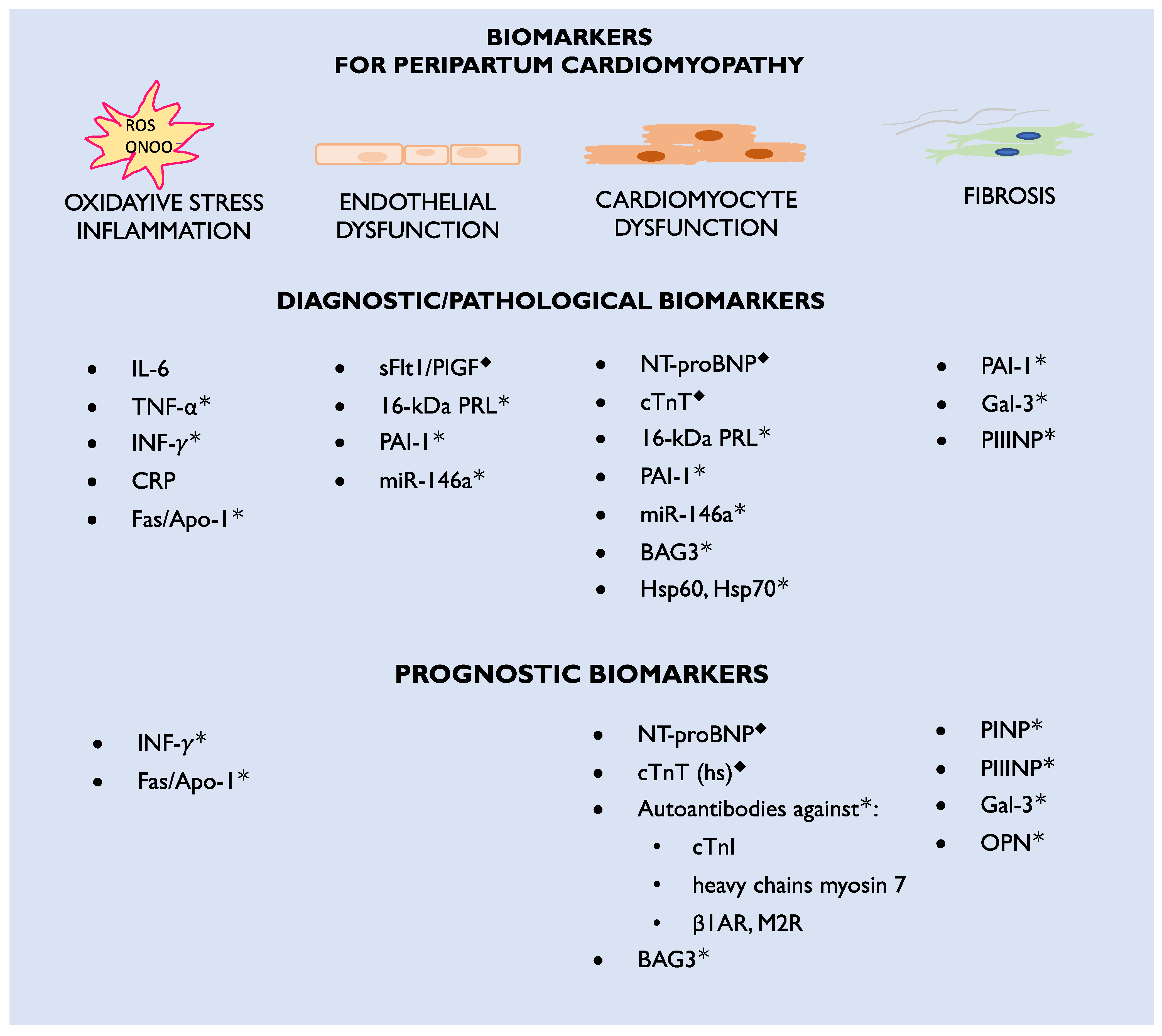 Biomolecules 14 00103 g001