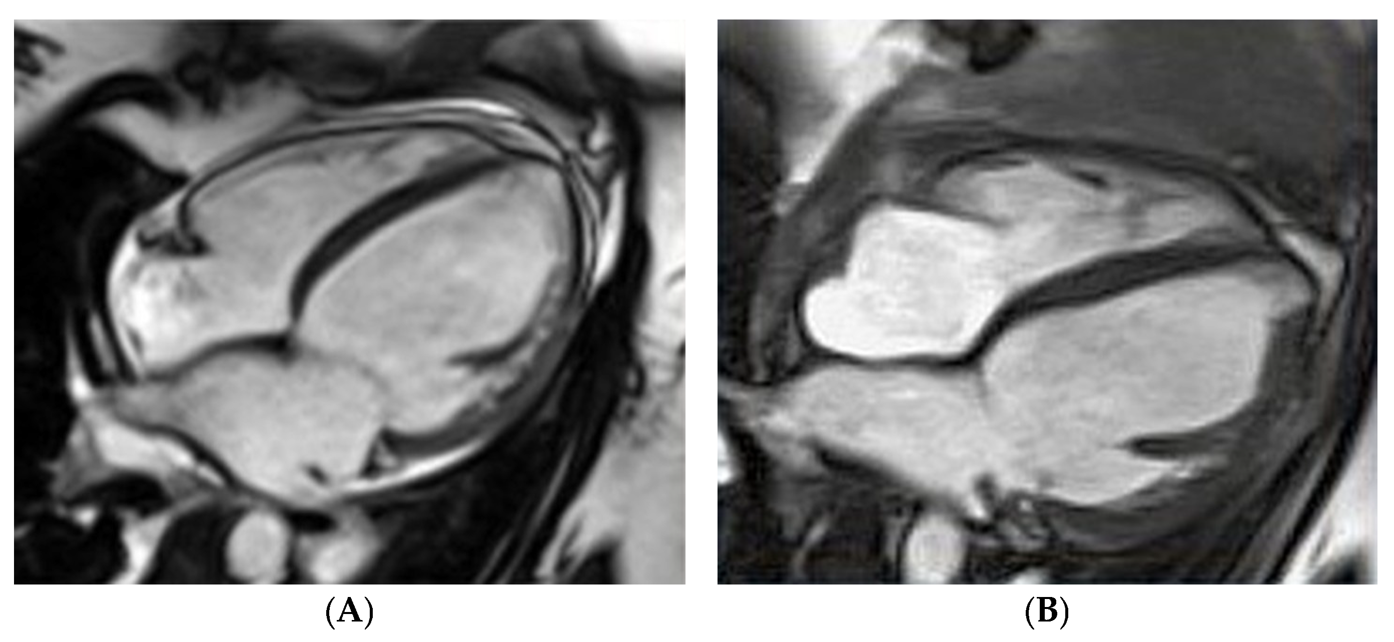 Biomolecules 14 00103 g002