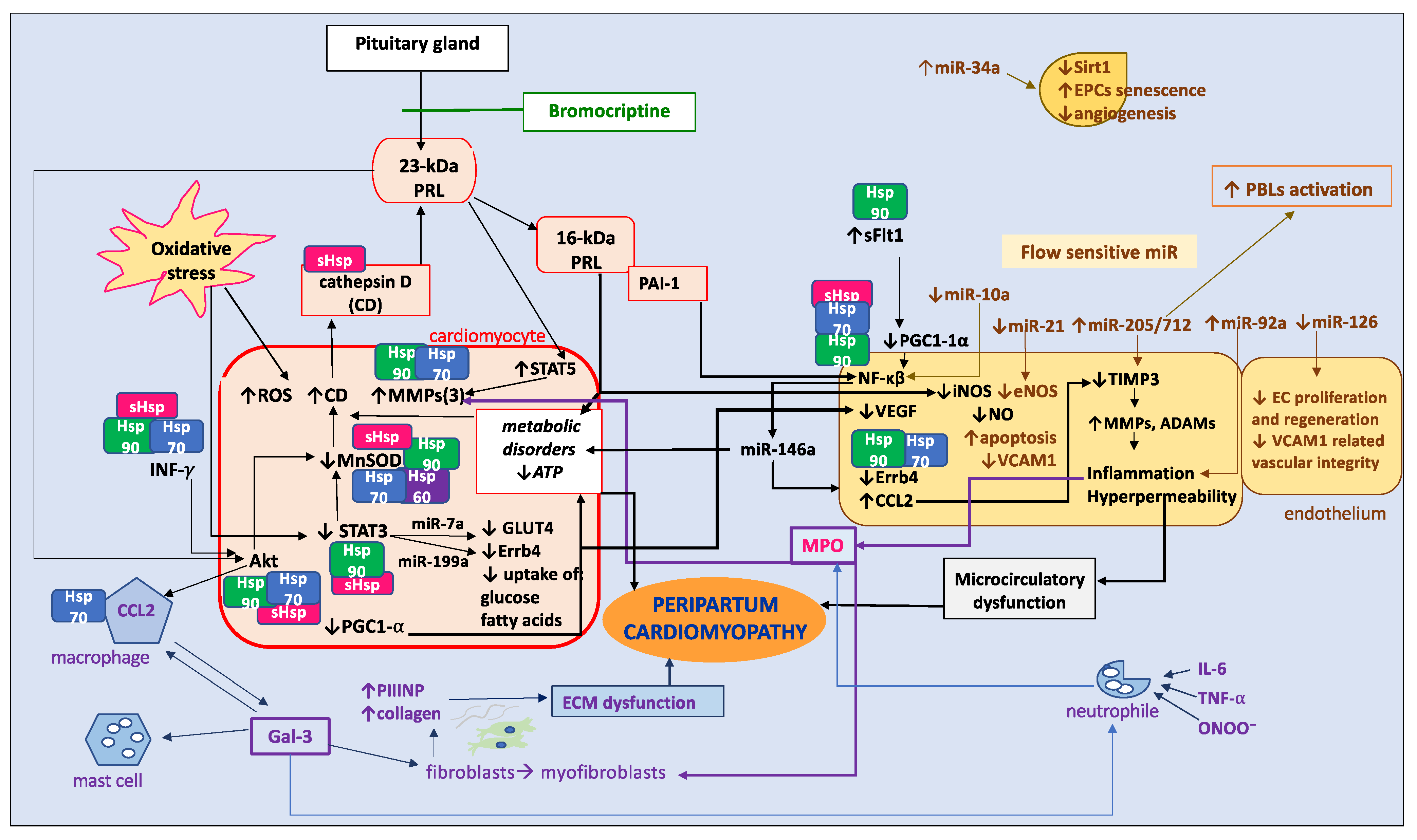 Biomolecules 14 00103 g004