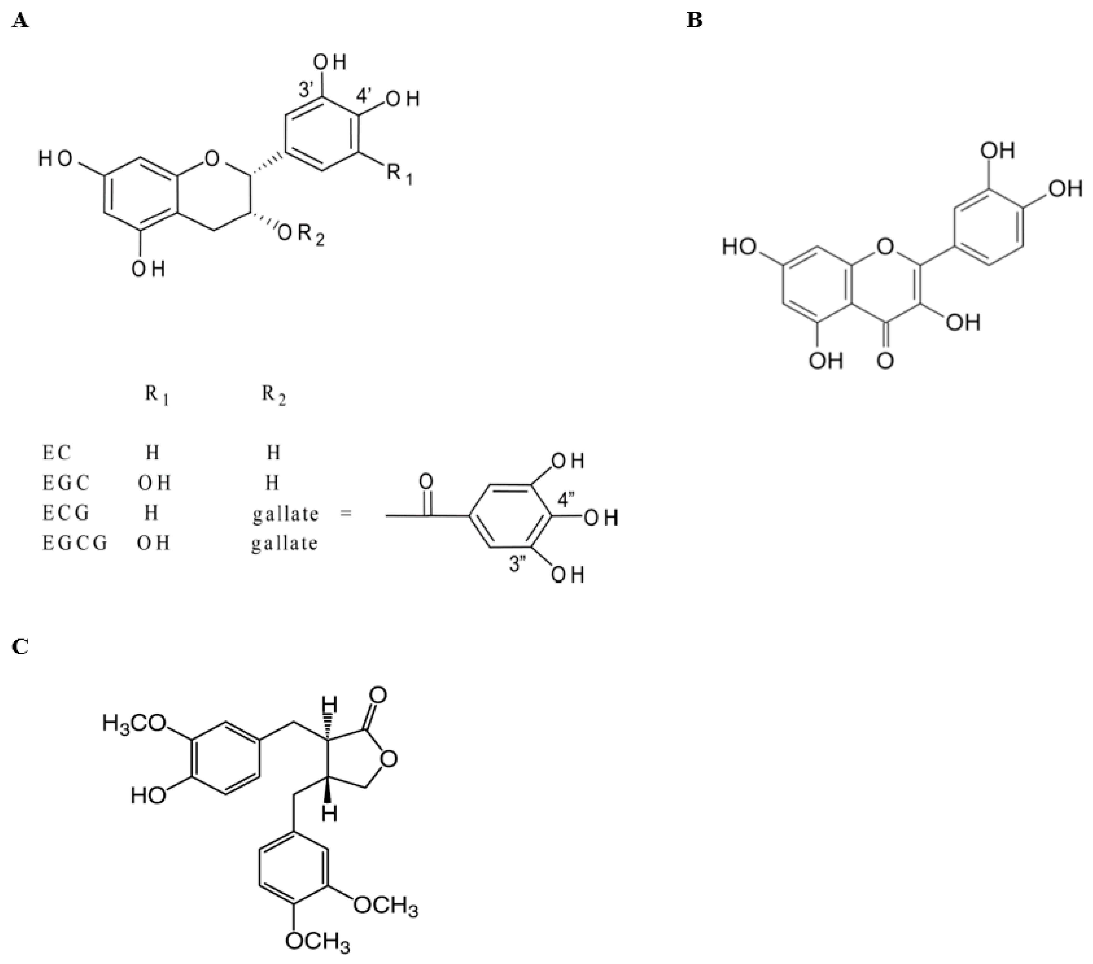 Biomolecules 14 00105 g001