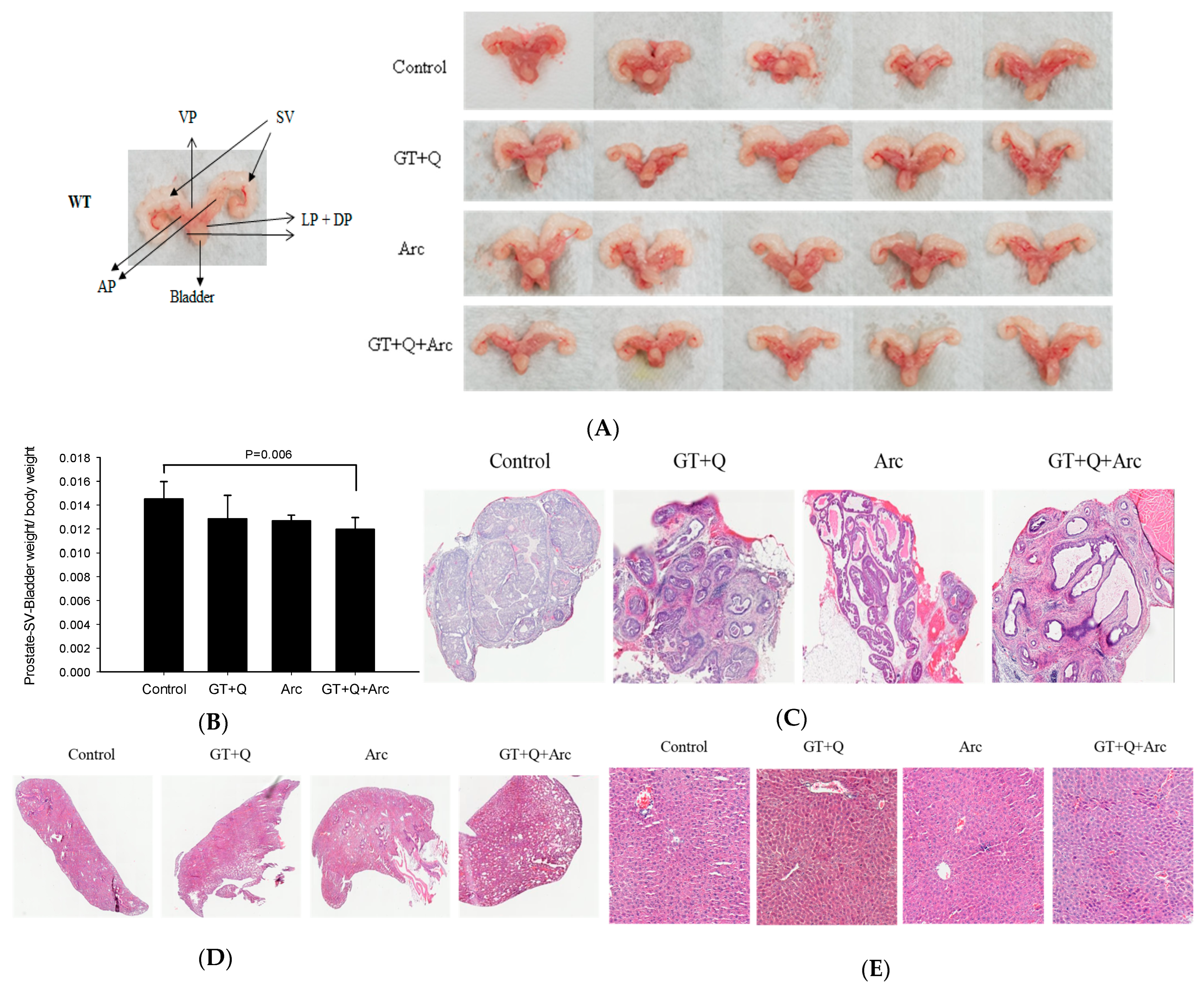 Biomolecules 14 00105 g004