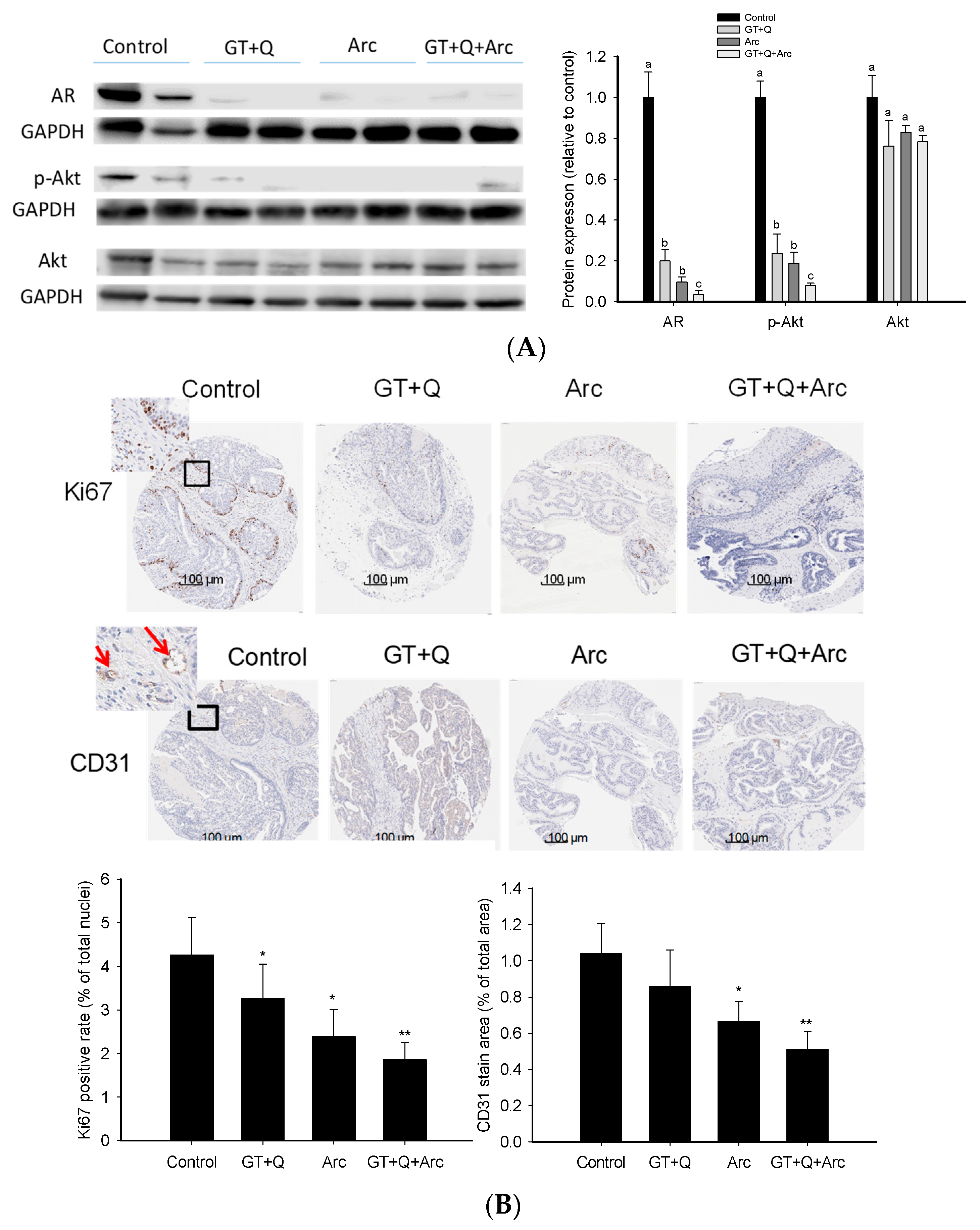 Biomolecules 14 00105 g005