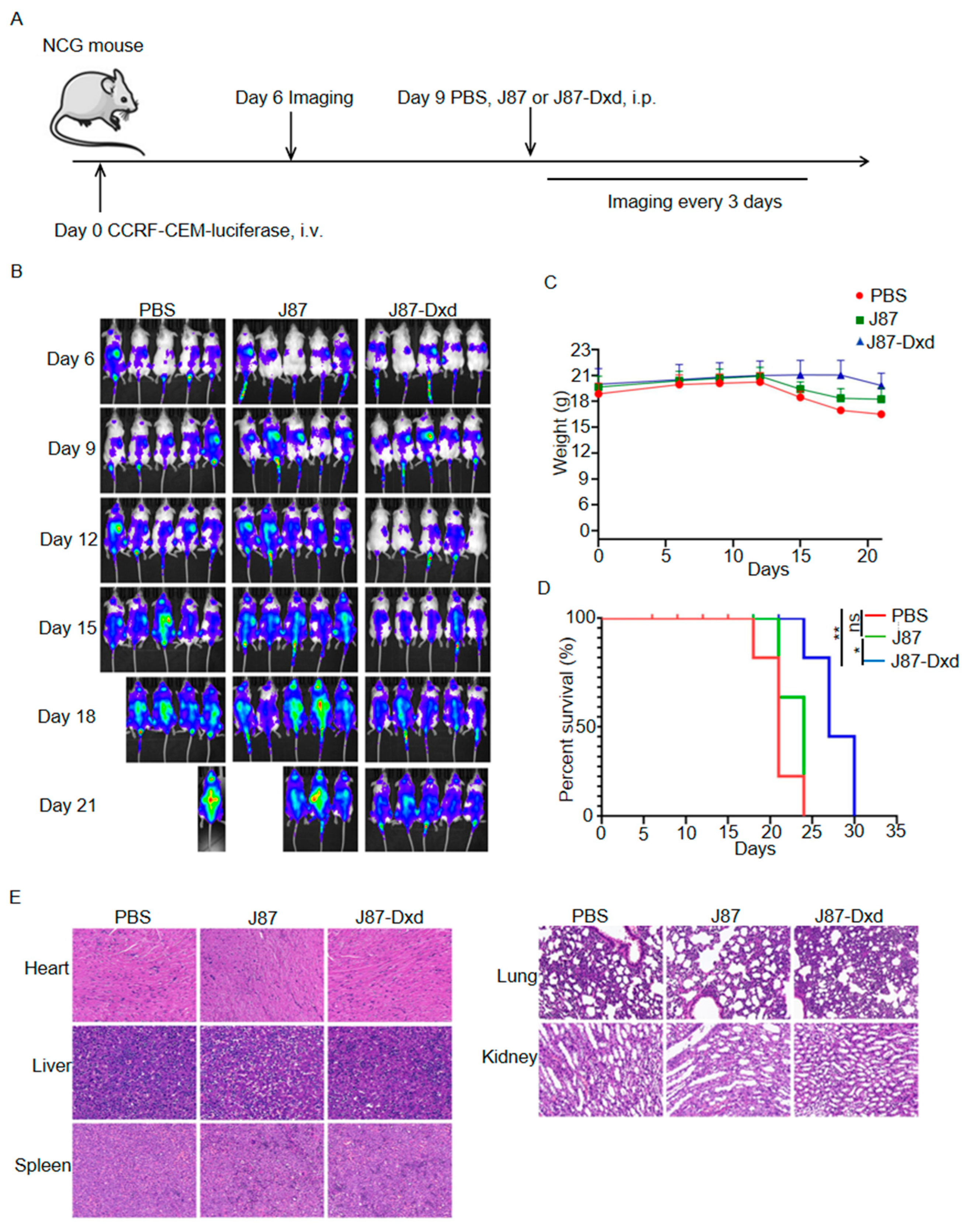 Biomolecules 14 00106 g004