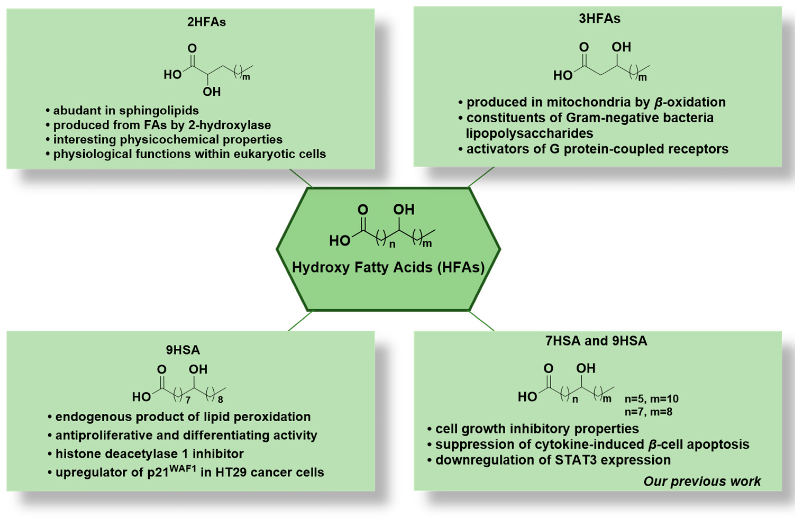 Biomolecules 14 00110 g001 Biomolecules 14 00110 g001
