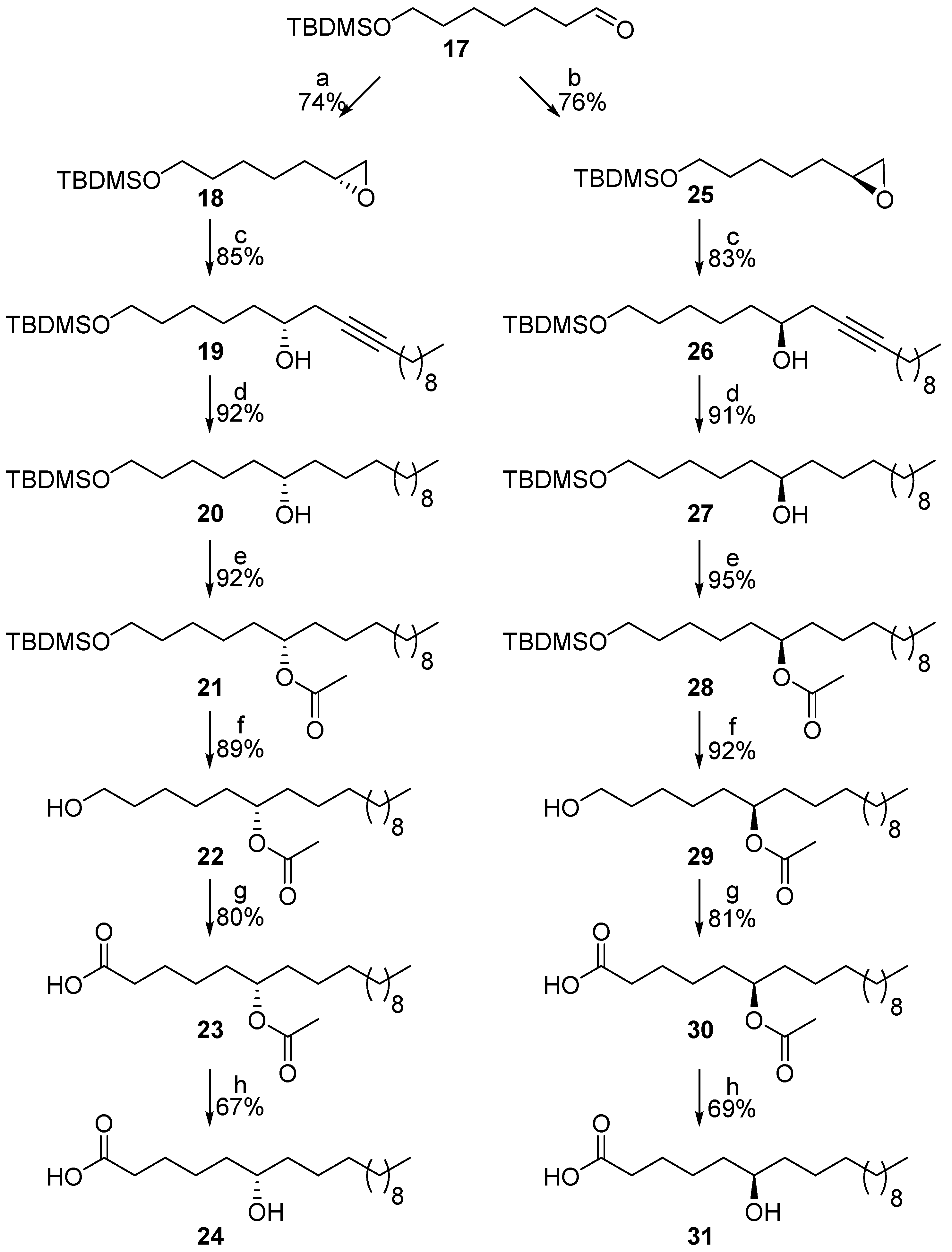 Biomolecules 14 00110 sch003 Biomolecules 14 00110 sch003