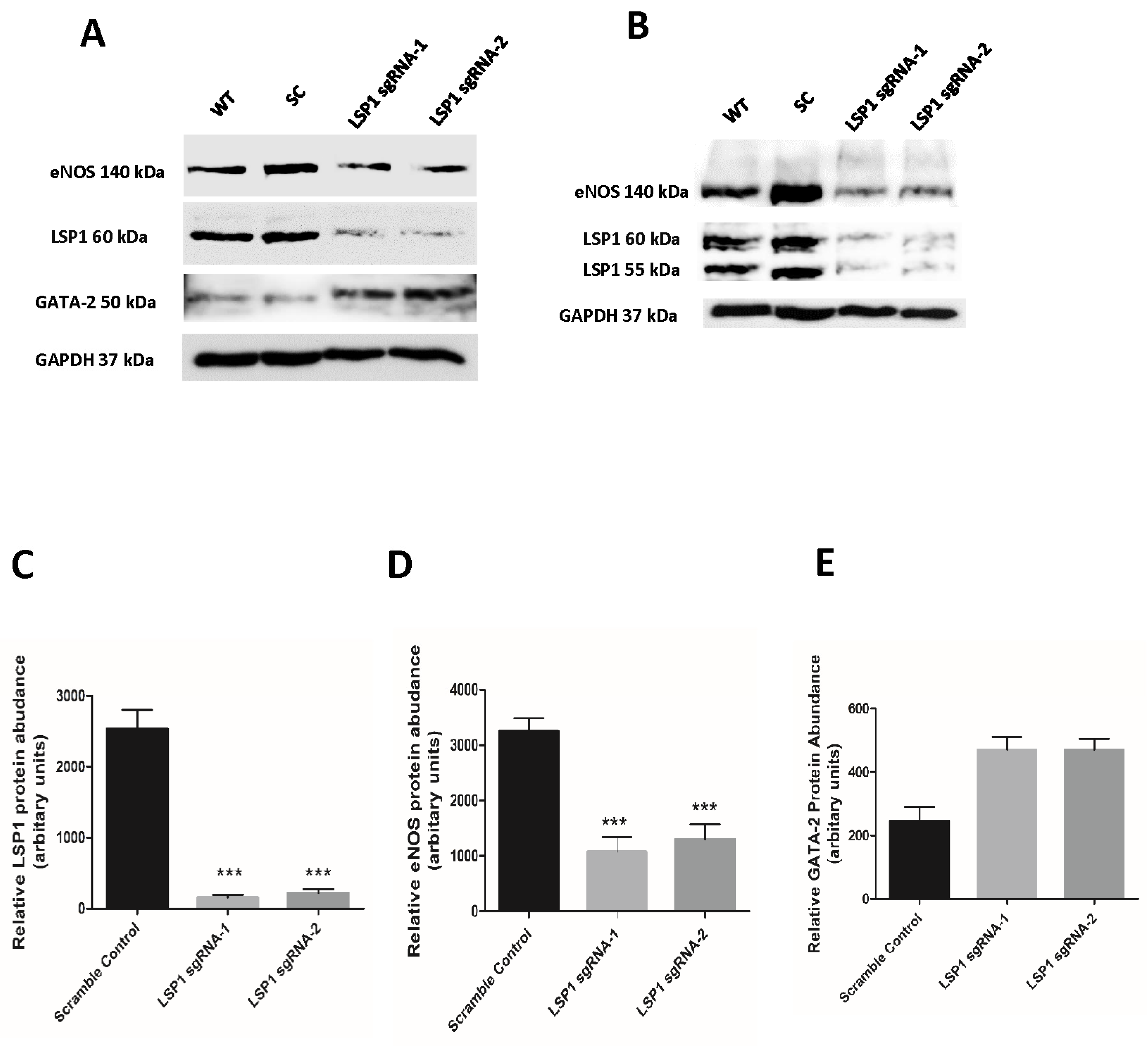 Biomolecules 14 00111 g001