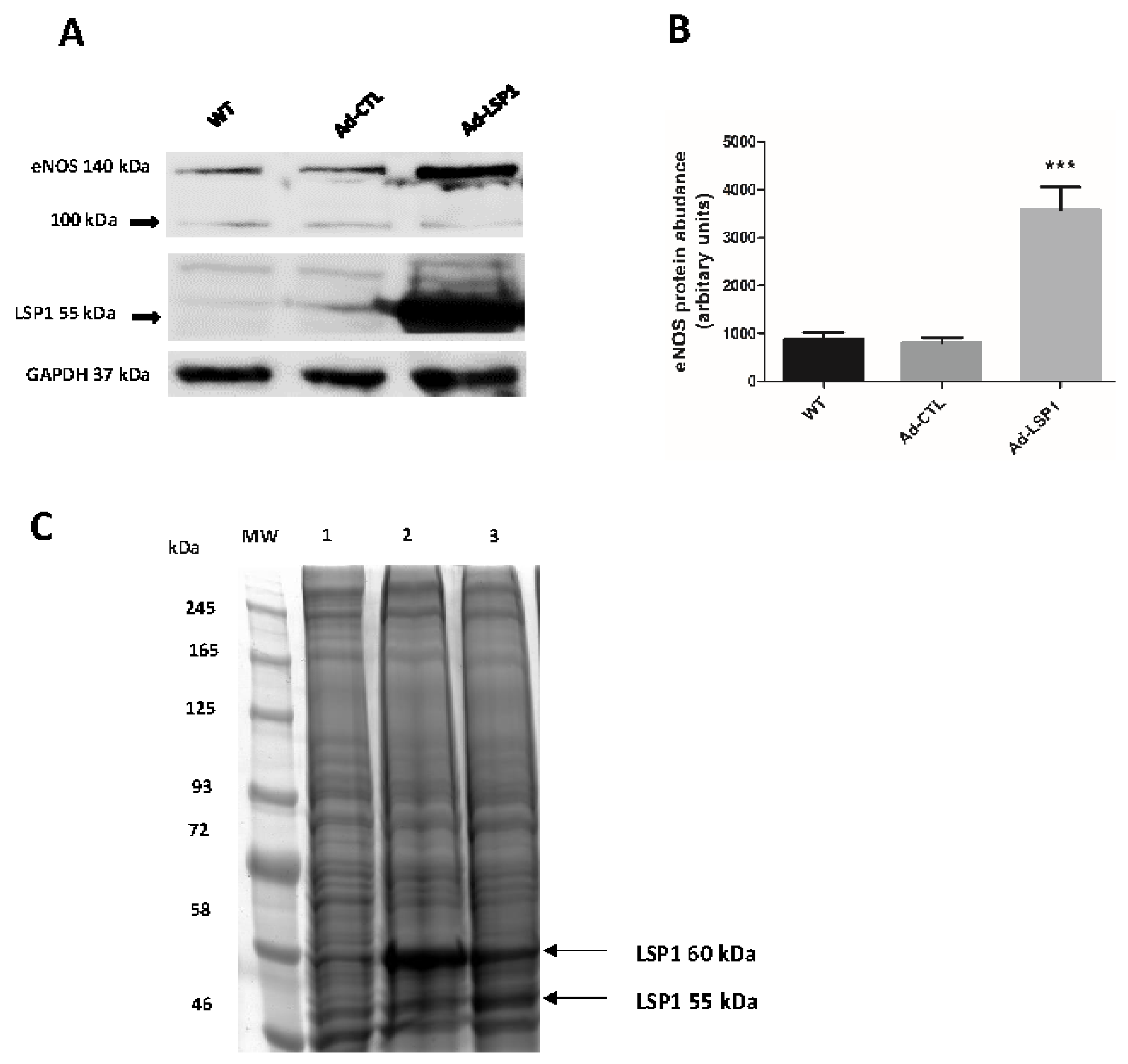 Biomolecules 14 00111 g002
