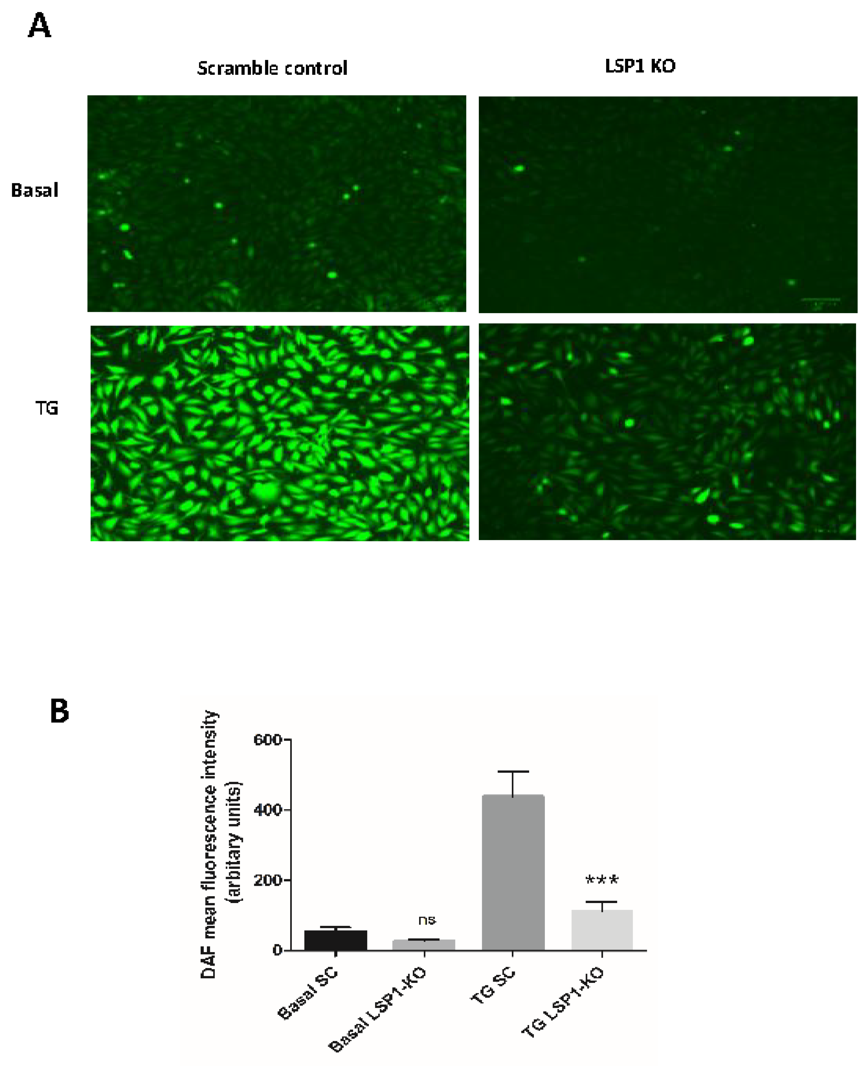 Biomolecules 14 00111 g005