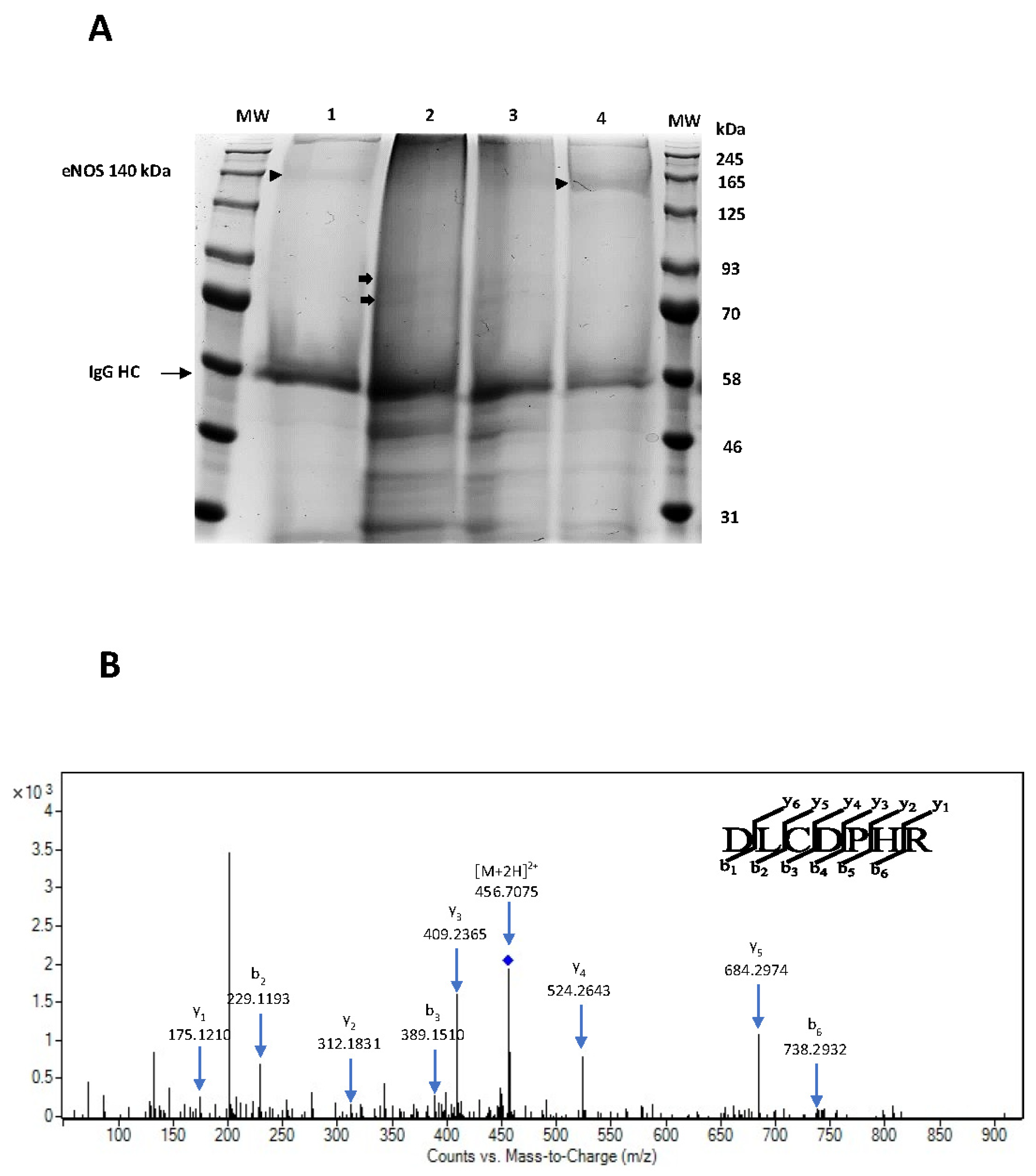 Biomolecules 14 00111 g007