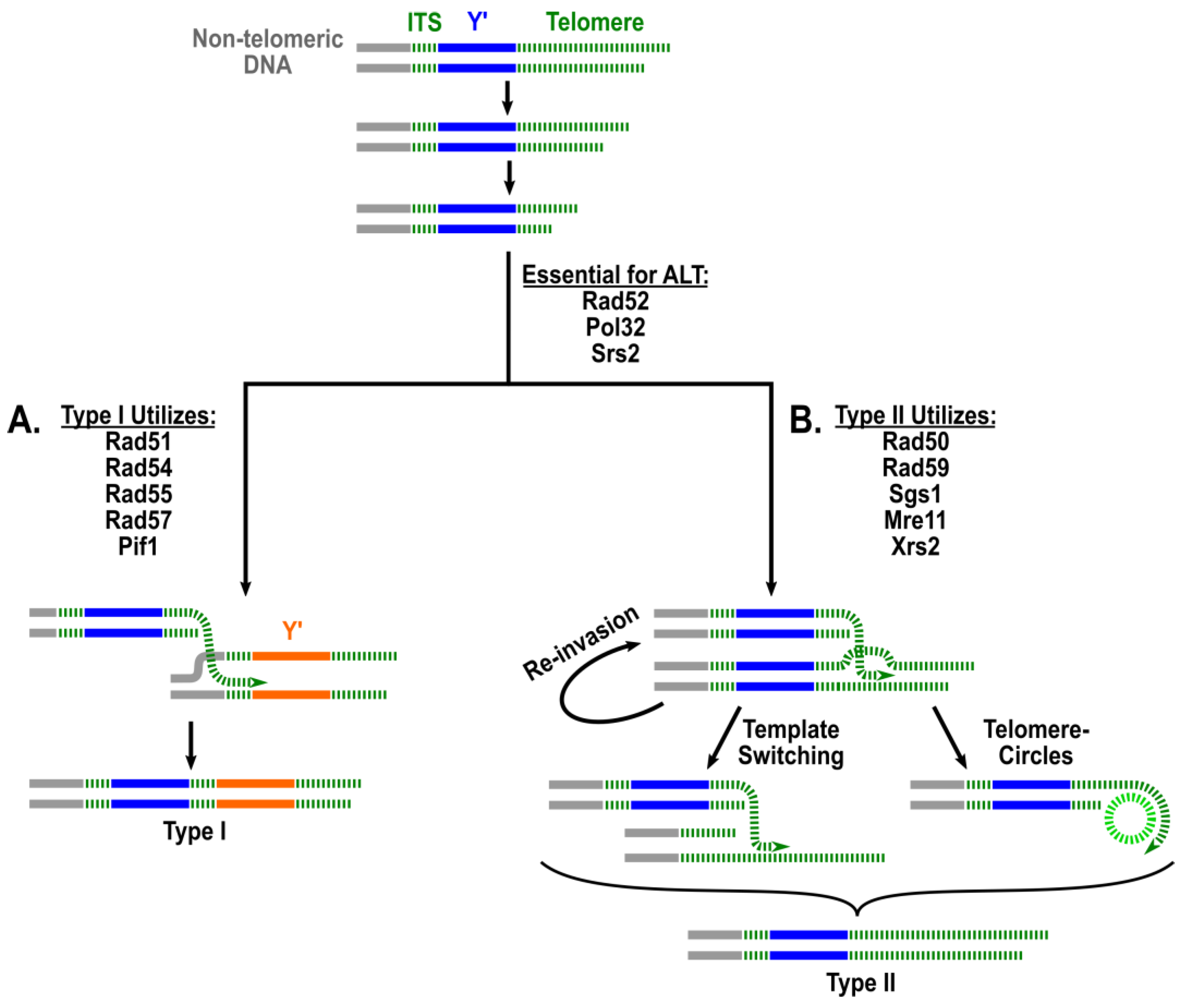 Biomolecules 14 00113 g001 Biomolecules 14 00113 g001
