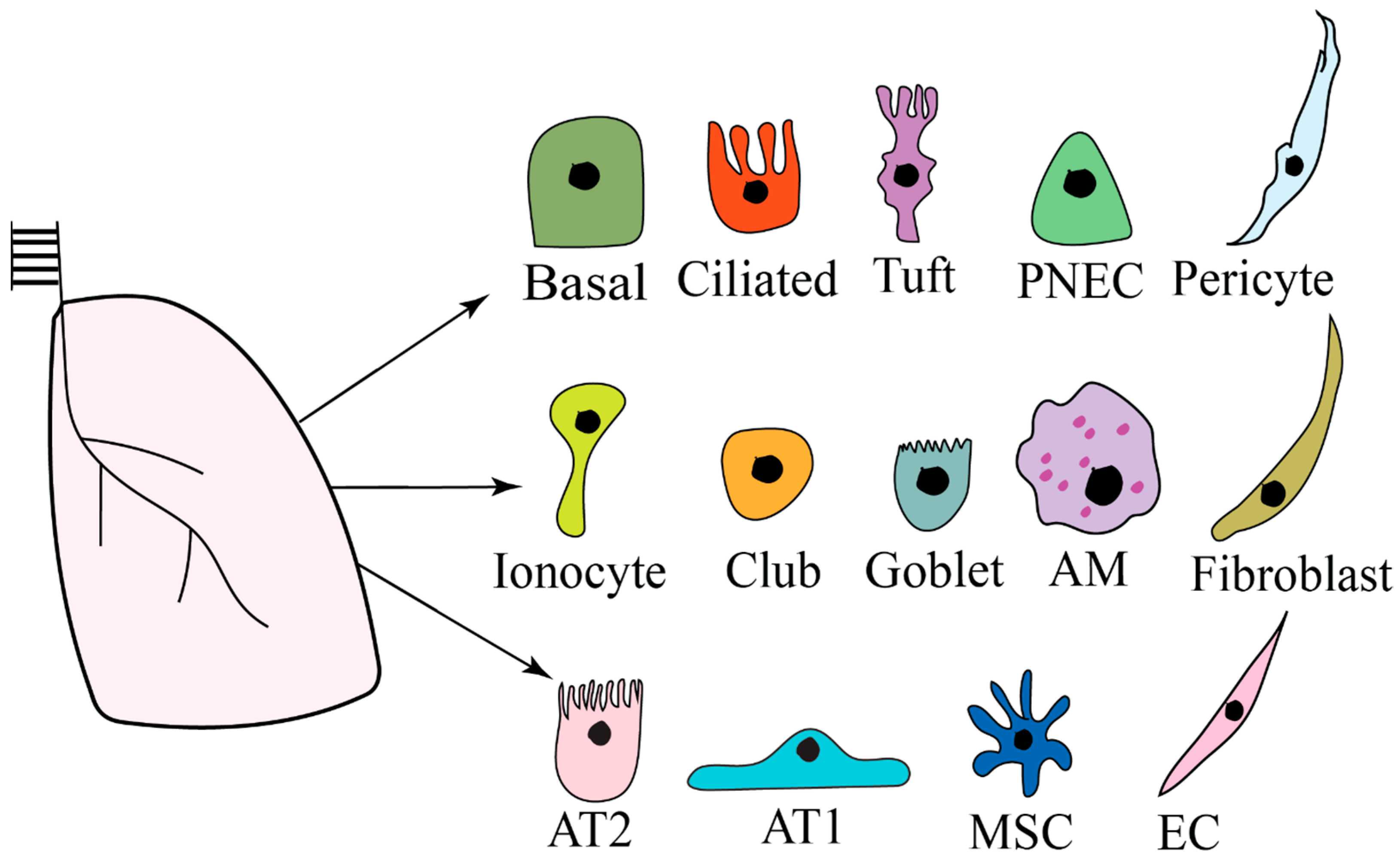 Biomolecules 14 00115 g001 Biomolecules 14 00115 g001
