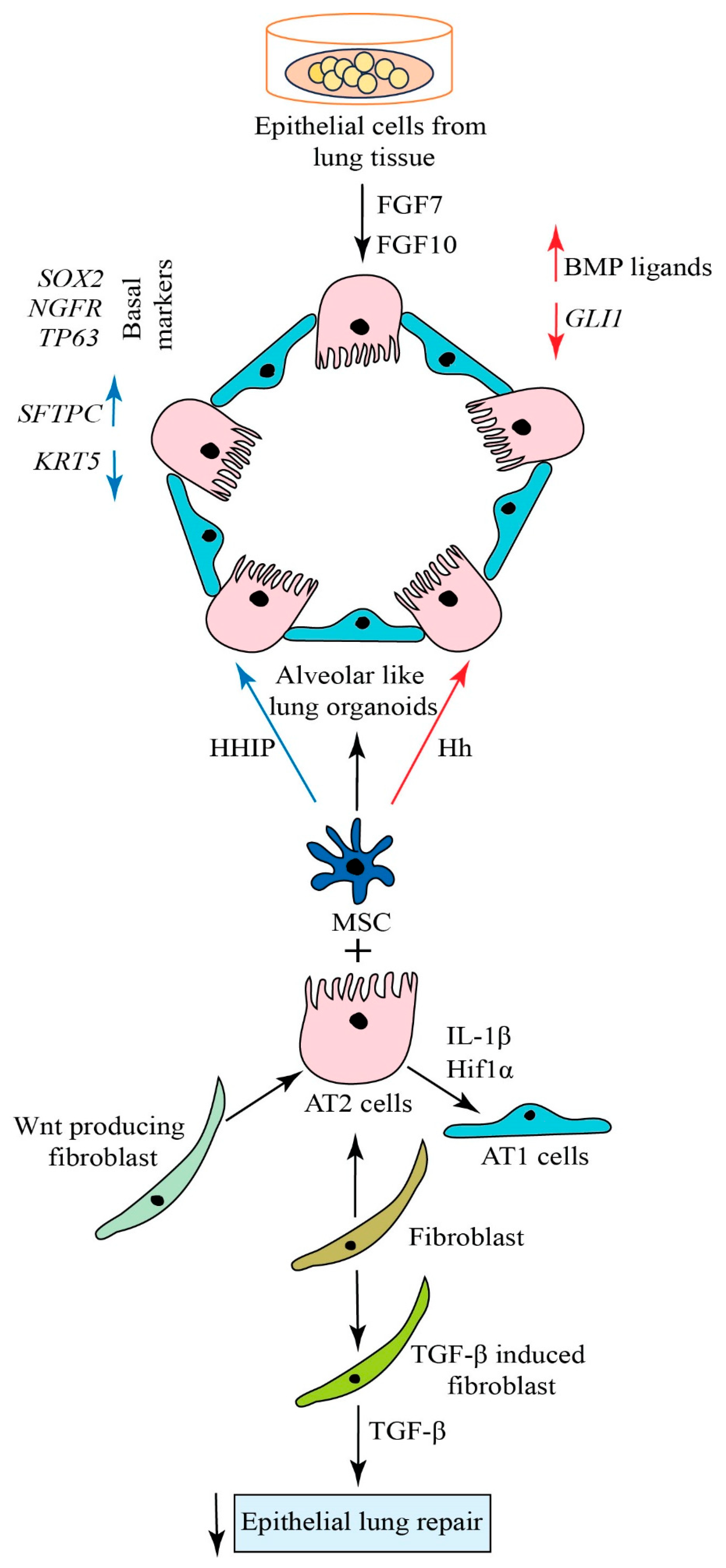 Biomolecules 14 00115 g002 Biomolecules 14 00115 g002