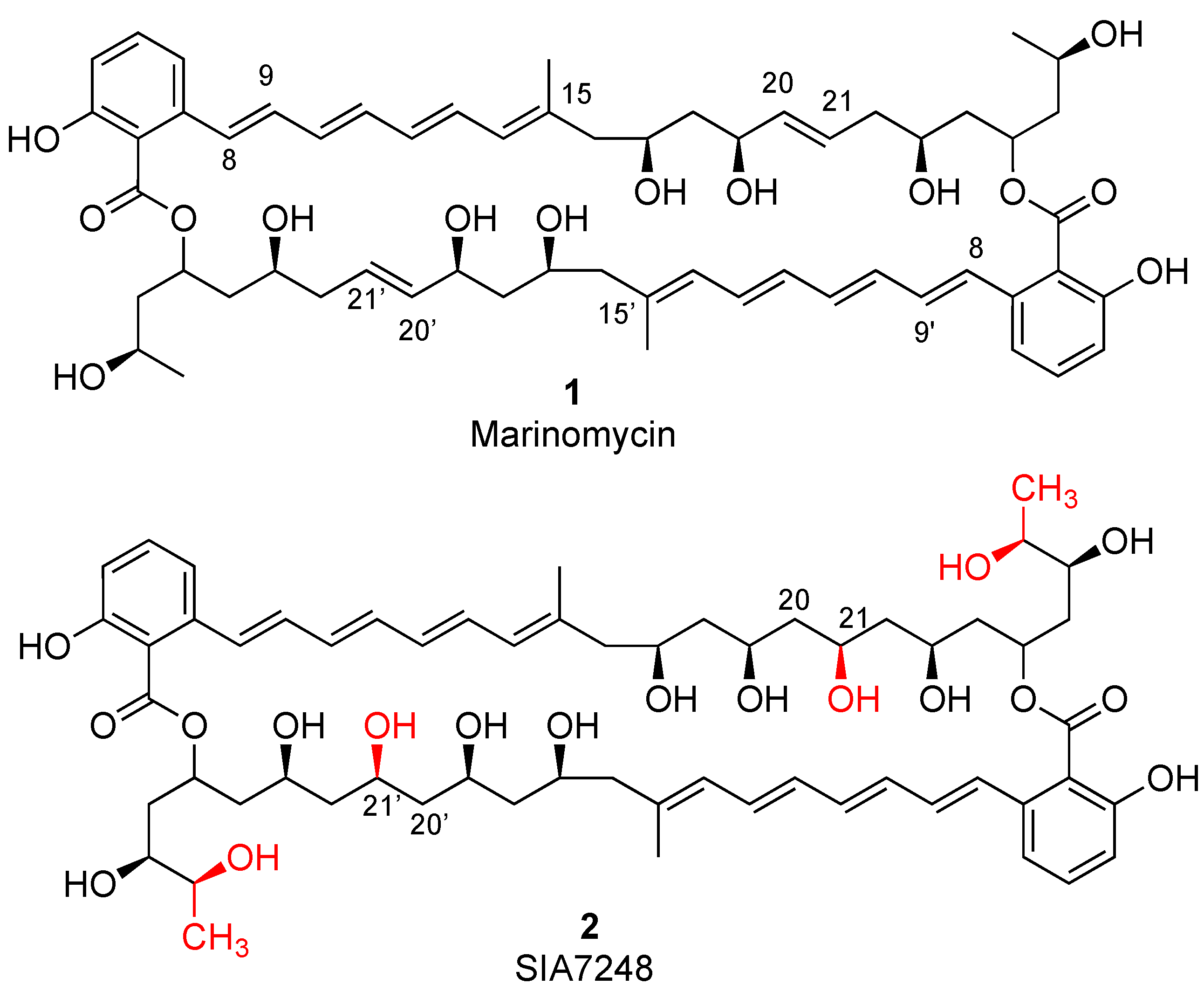 Biomolecules 14 00117 g001