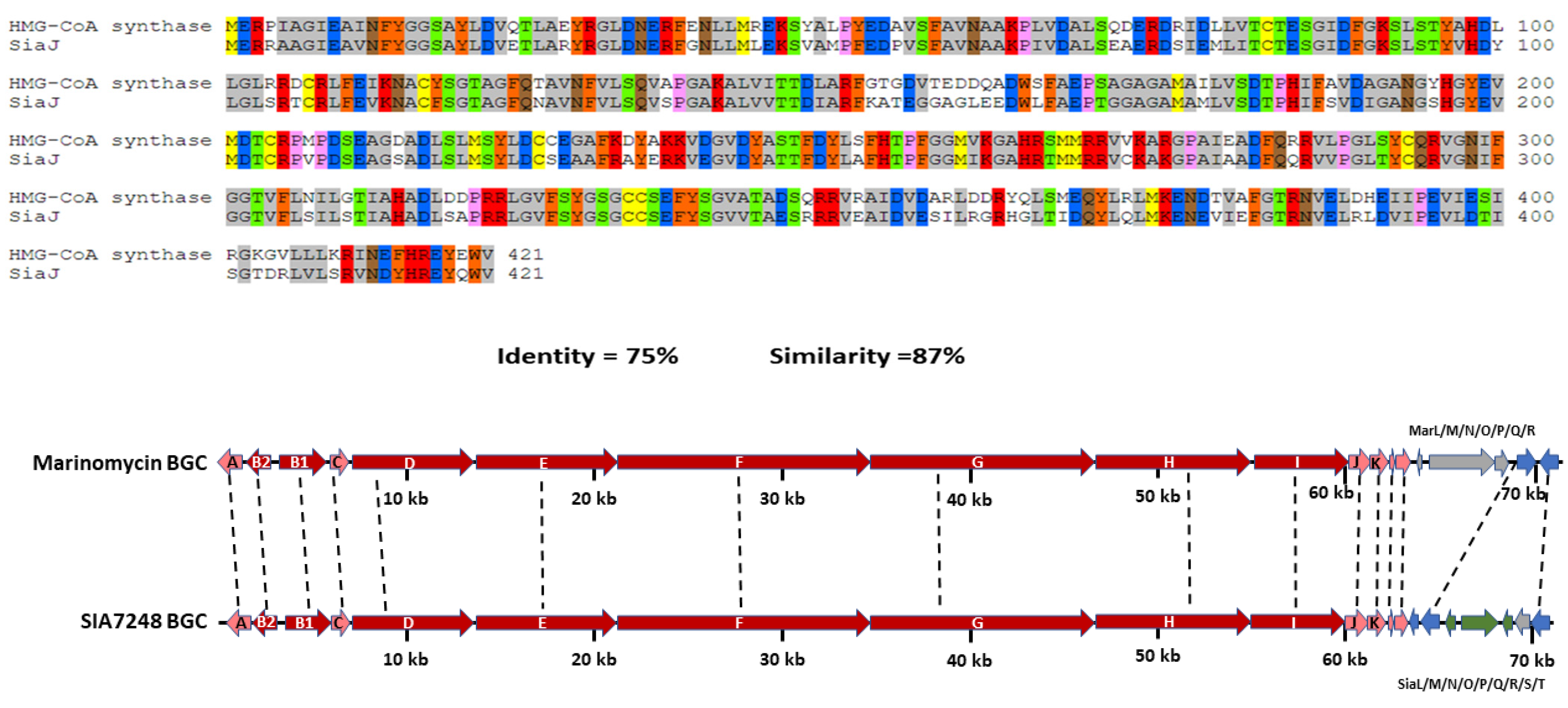 Biomolecules 14 00117 g002