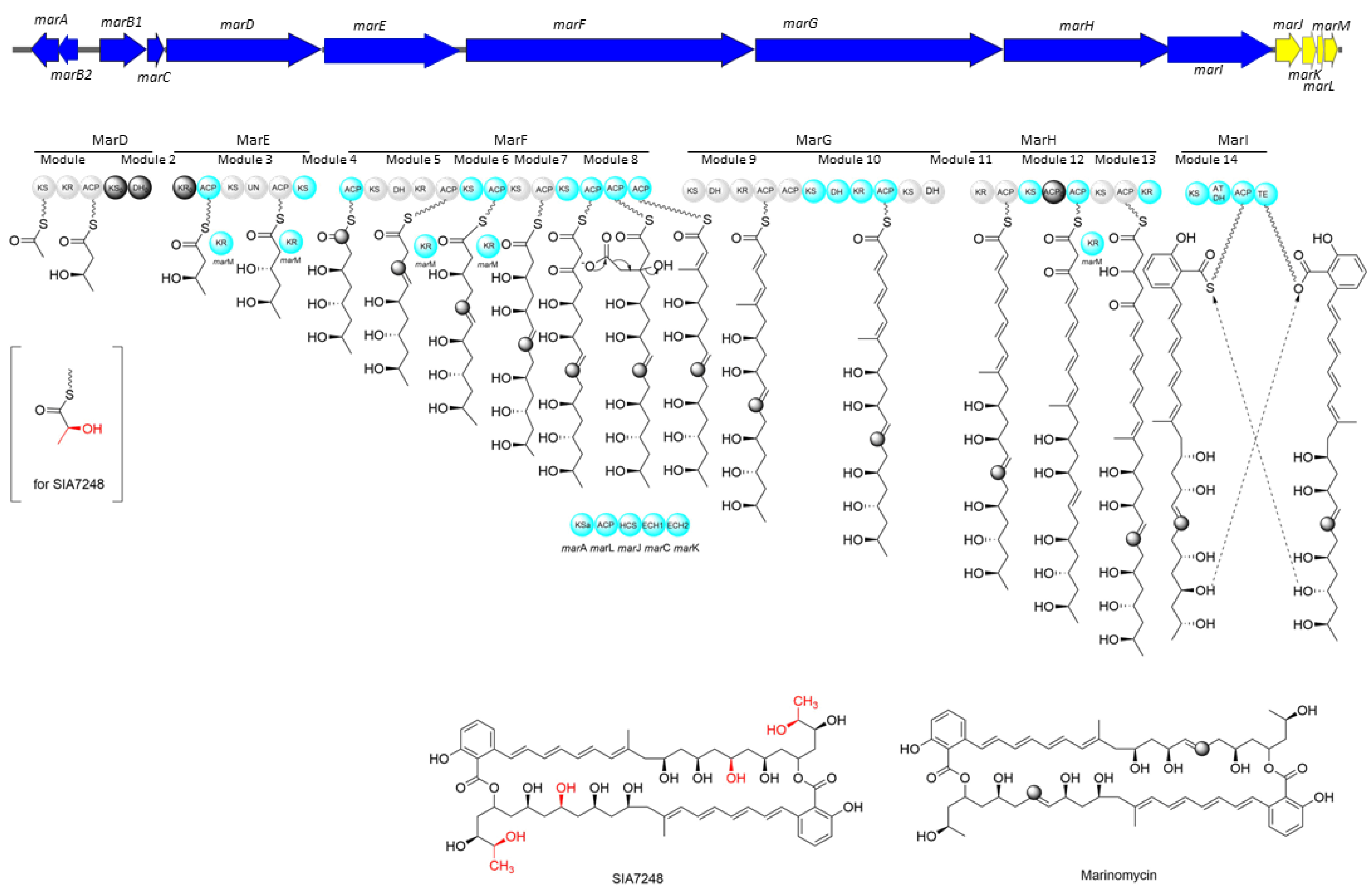 Biomolecules 14 00117 sch001
