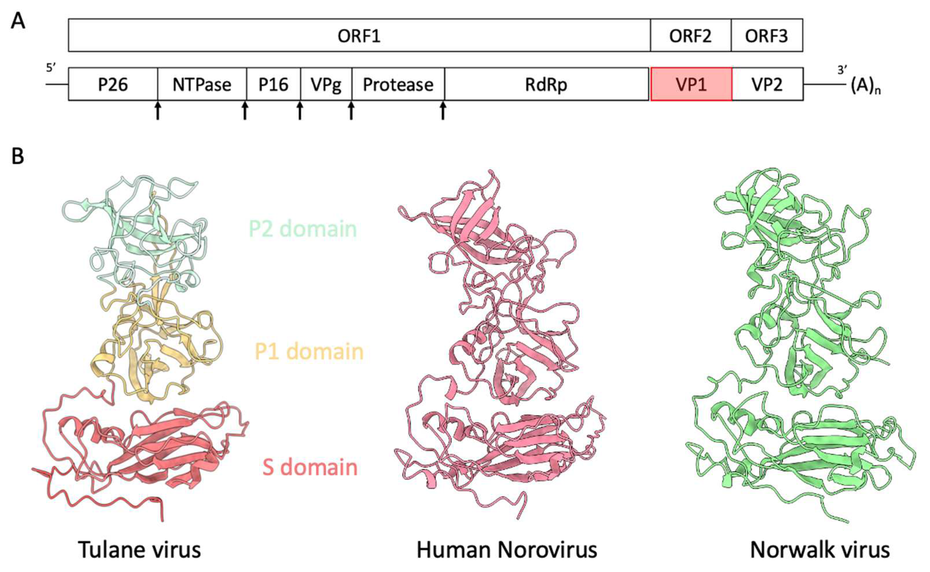 Biomolecules 14 00119 g001 Biomolecules 14 00119 g001